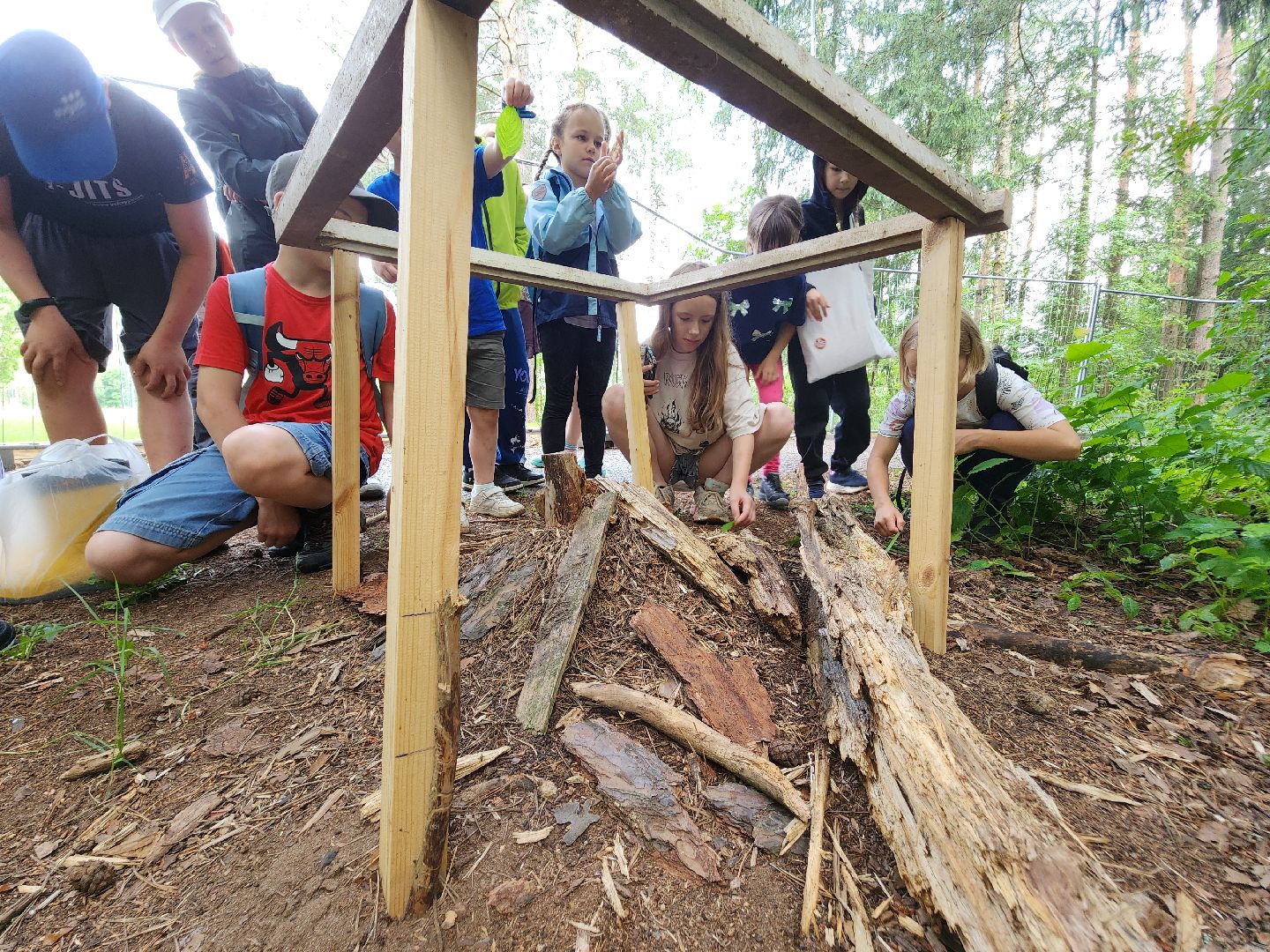 Черноголовка, Экология, Летний лагерь, дети,
