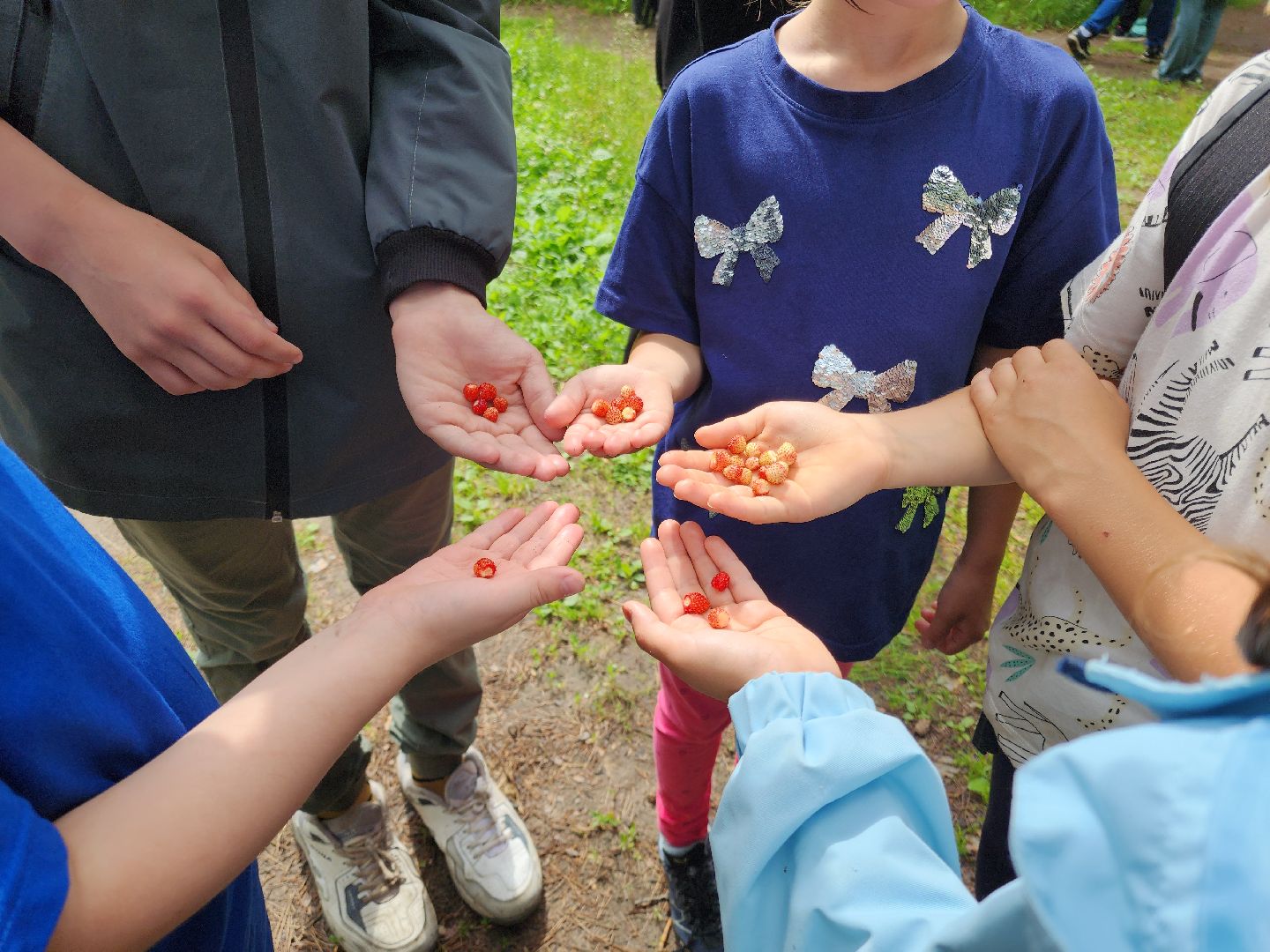 Черноголовка, Экология, Летний лагерь, дети,