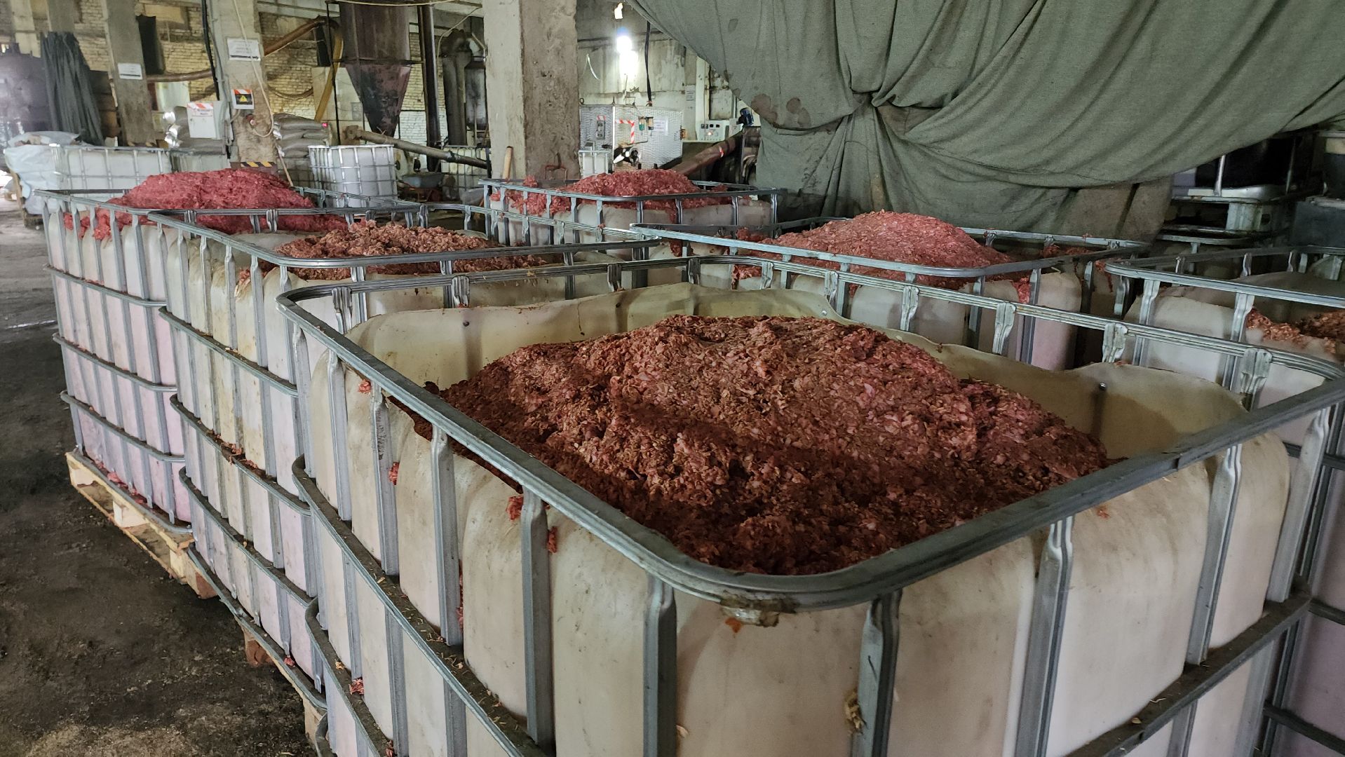 кашира, выездная администрация, наумовское, рудневно, сельский староста, зловонный запах, загрязнение воздуха, костная мука, производство,