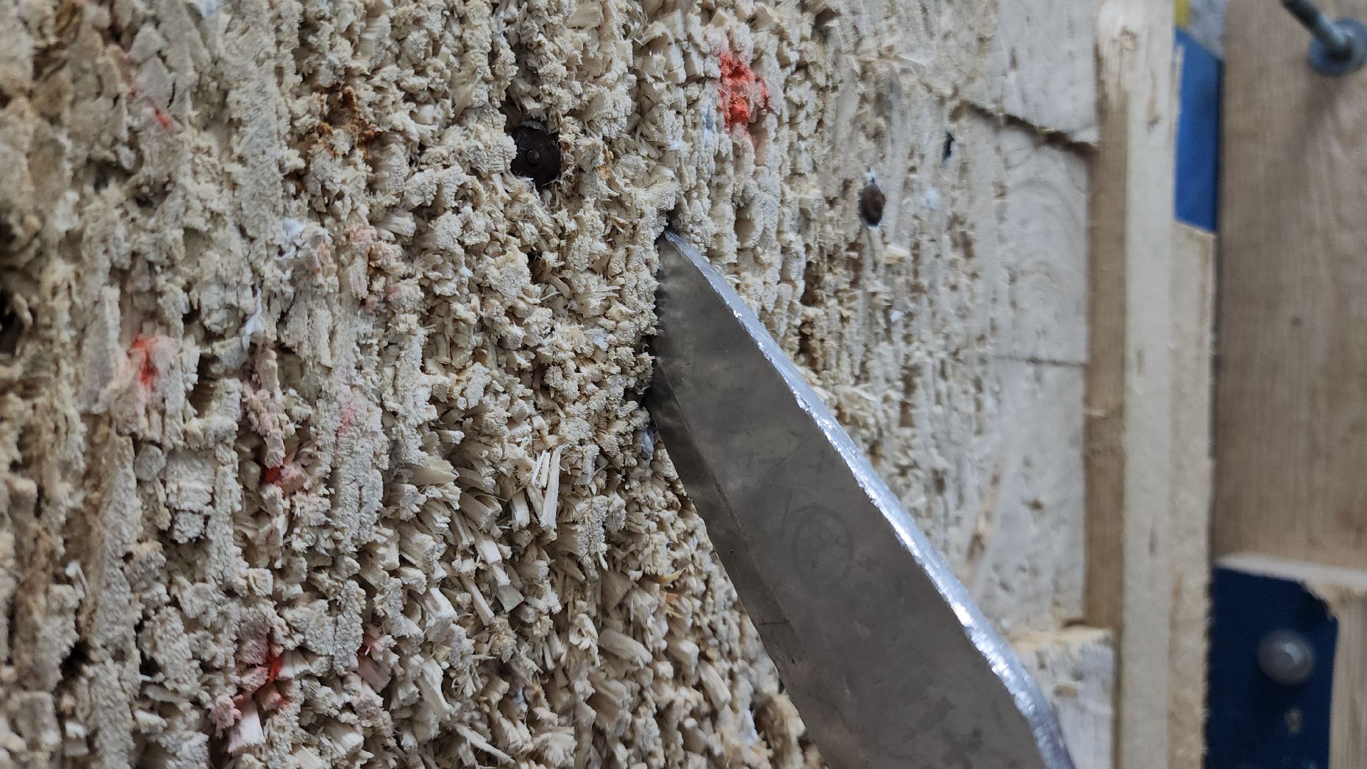 Подольск, Чемпионат Европы, спортивное метание ножа, сборная россии,