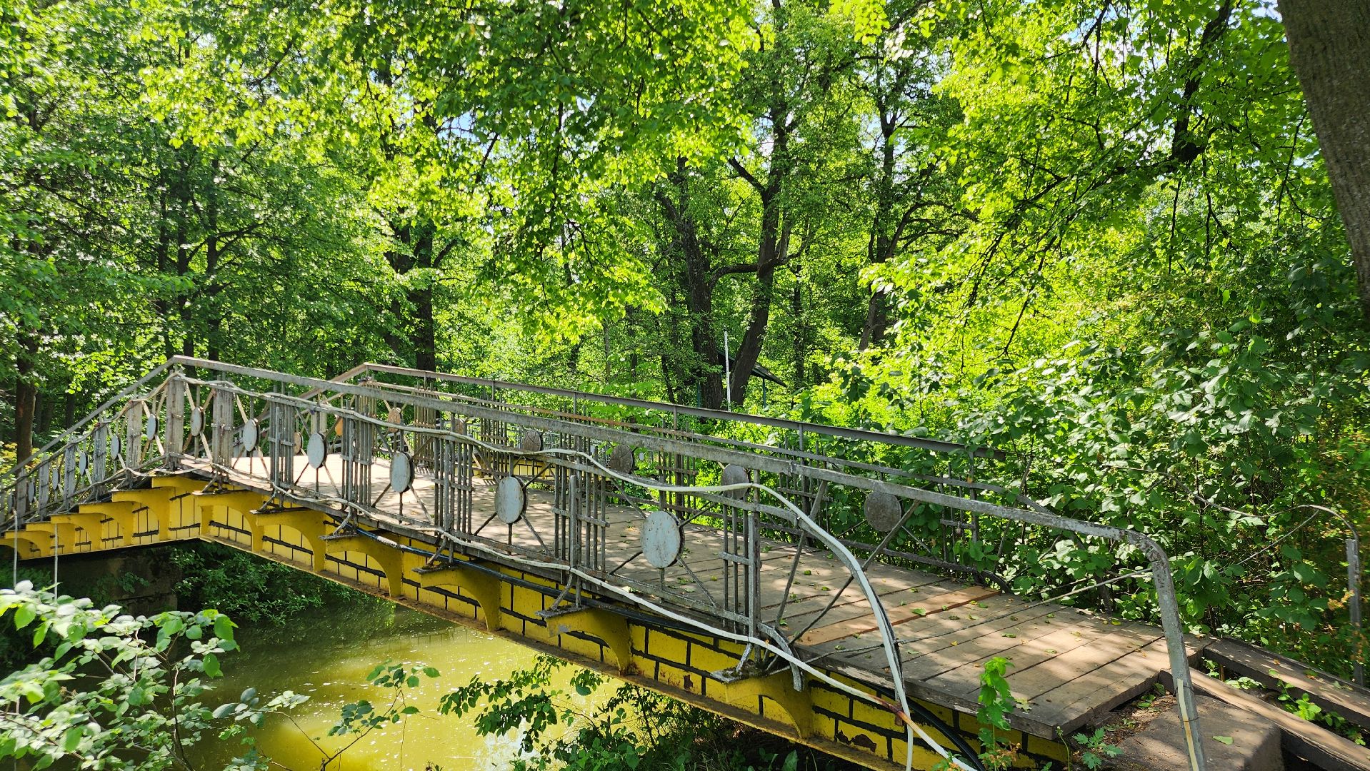 Звенигород, Искусство, Фотосессии,медведь Степан,