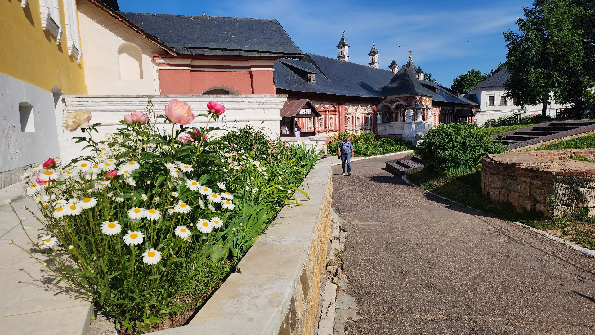 Звенигород, Искусство, Фотосессии,медведь Степан,