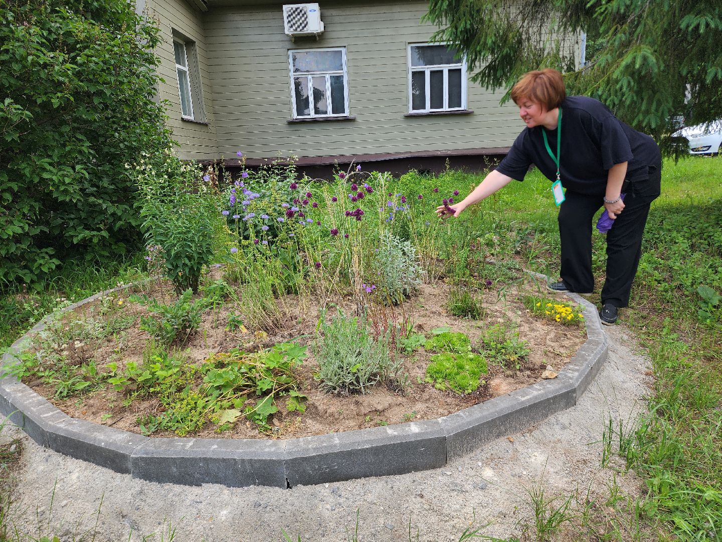 приокско-террасный заповедник, экология, серпухов, подмосковье, природа, зубры,