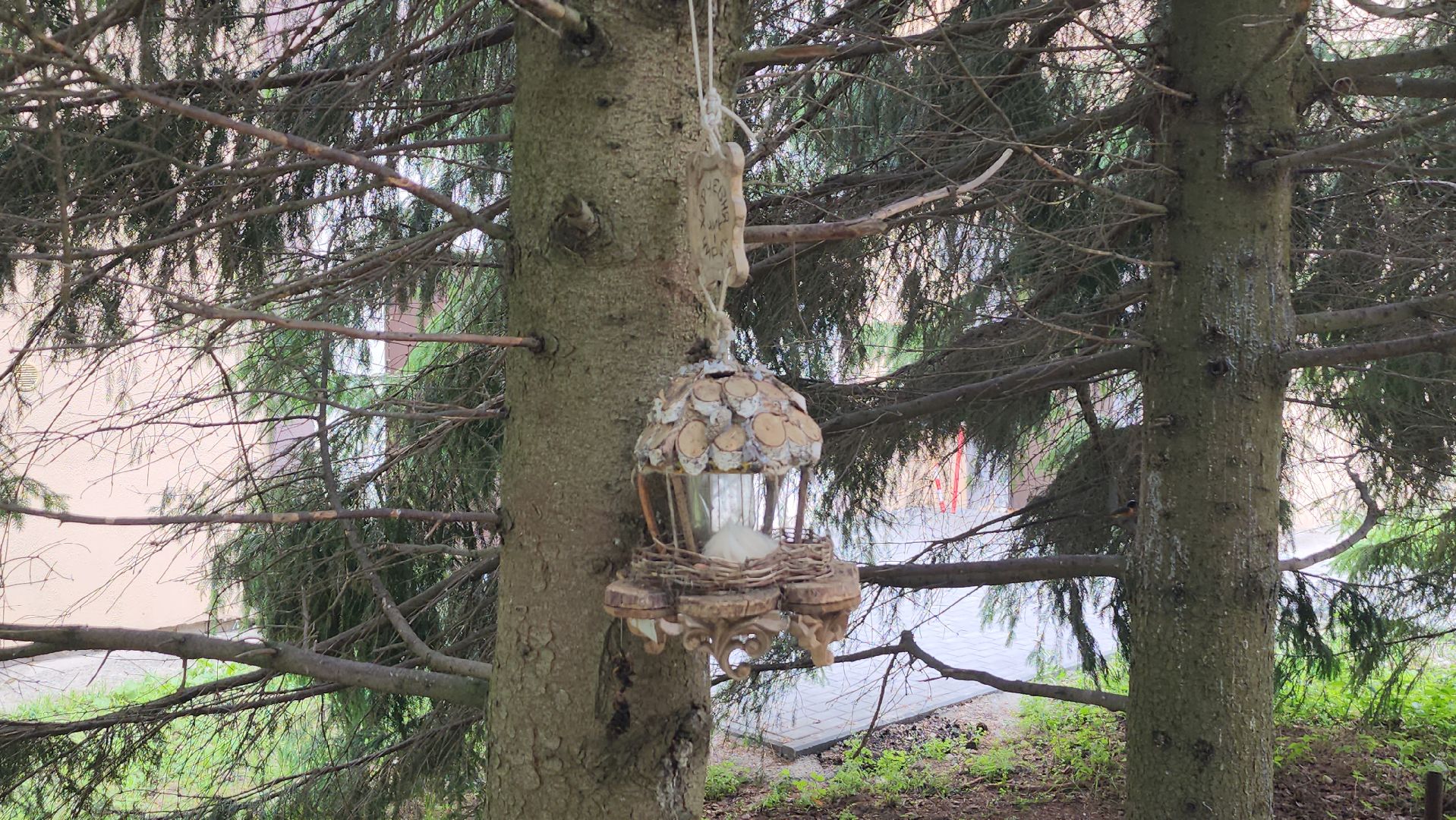 приокско-террасный заповедник, экология, серпухов, подмосковье, природа, зубры,