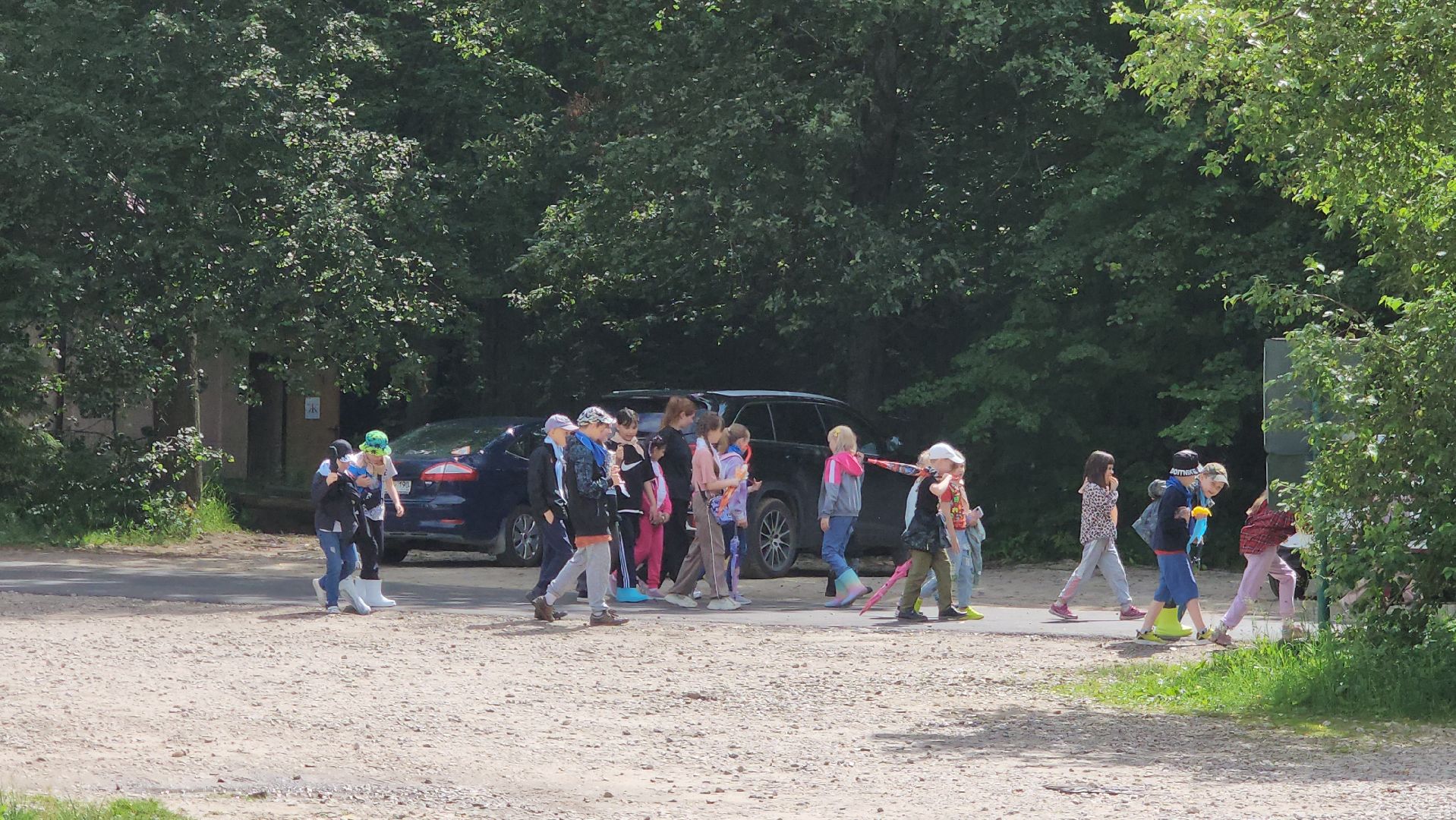 приокско-террасный заповедник, экология, серпухов, подмосковье, природа, зубры,