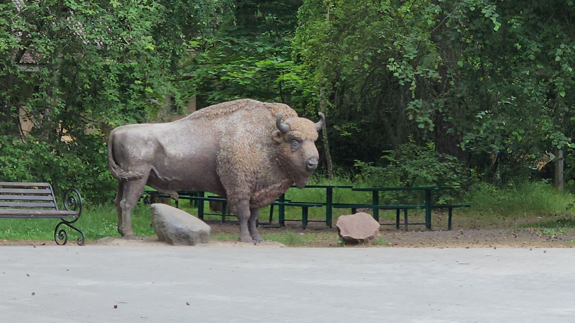 приокско-террасный заповедник, экология, серпухов, подмосковье, природа, зубры,