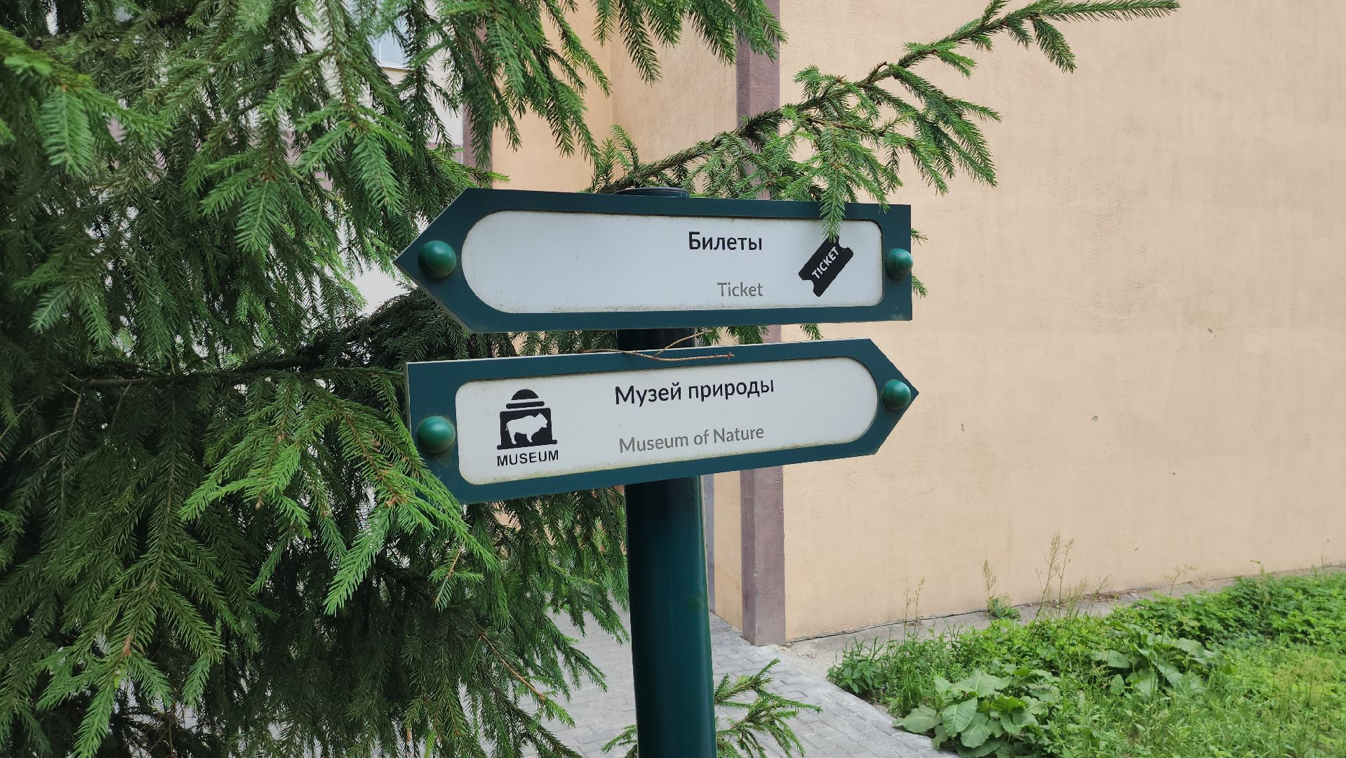 приокско-террасный заповедник, экология, серпухов, подмосковье, природа, зубры,