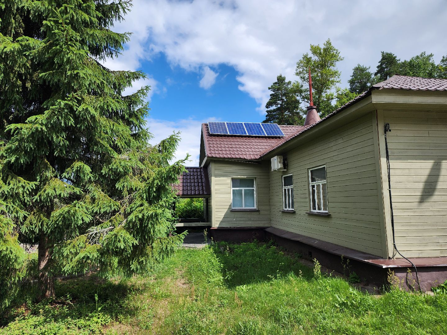 приокско-террасный заповедник, экология, серпухов, подмосковье, природа, зубры,