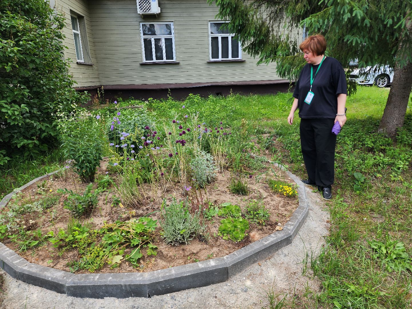 приокско-террасный заповедник, экология, серпухов, подмосковье, природа, зубры,