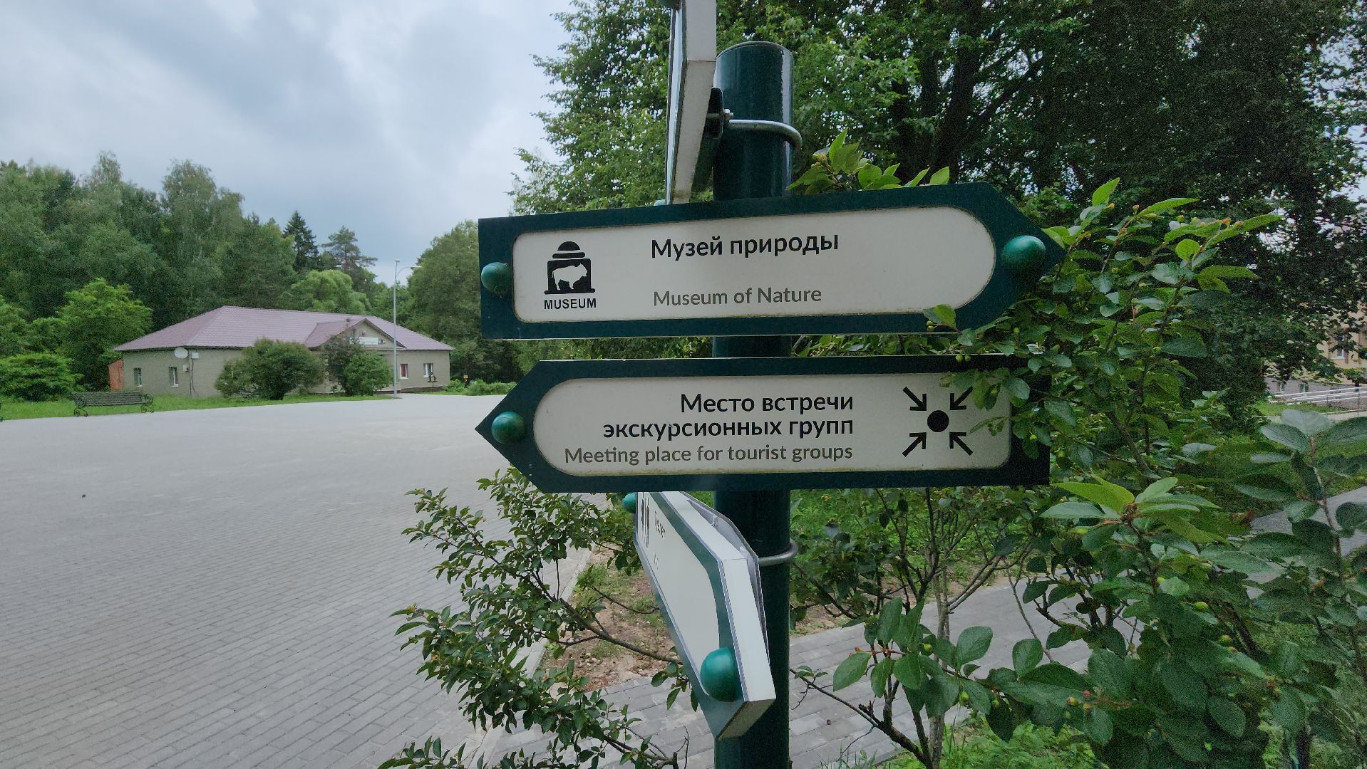 приокско-террасный заповедник, экология, серпухов, подмосковье, природа, зубры,