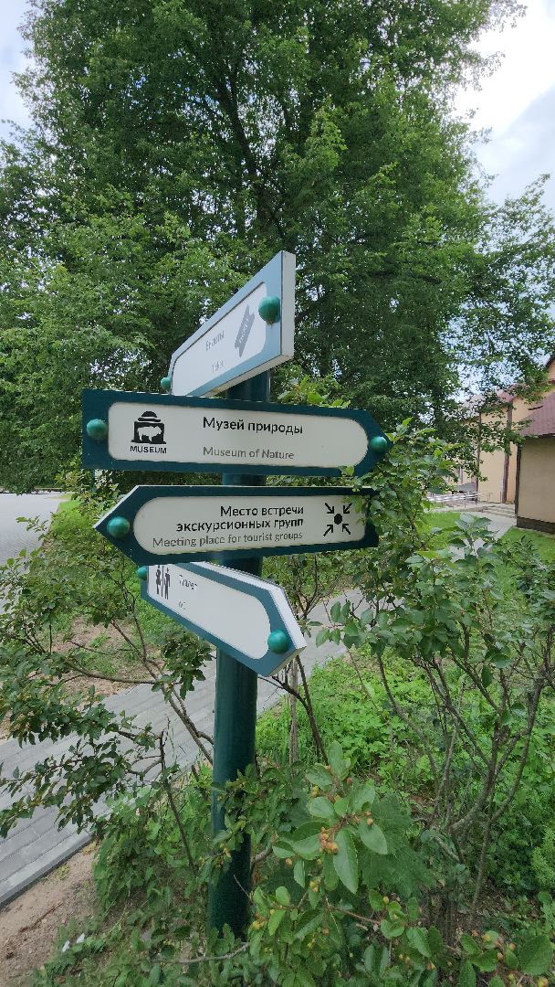 приокско-террасный заповедник, экология, серпухов, подмосковье, природа, зубры,