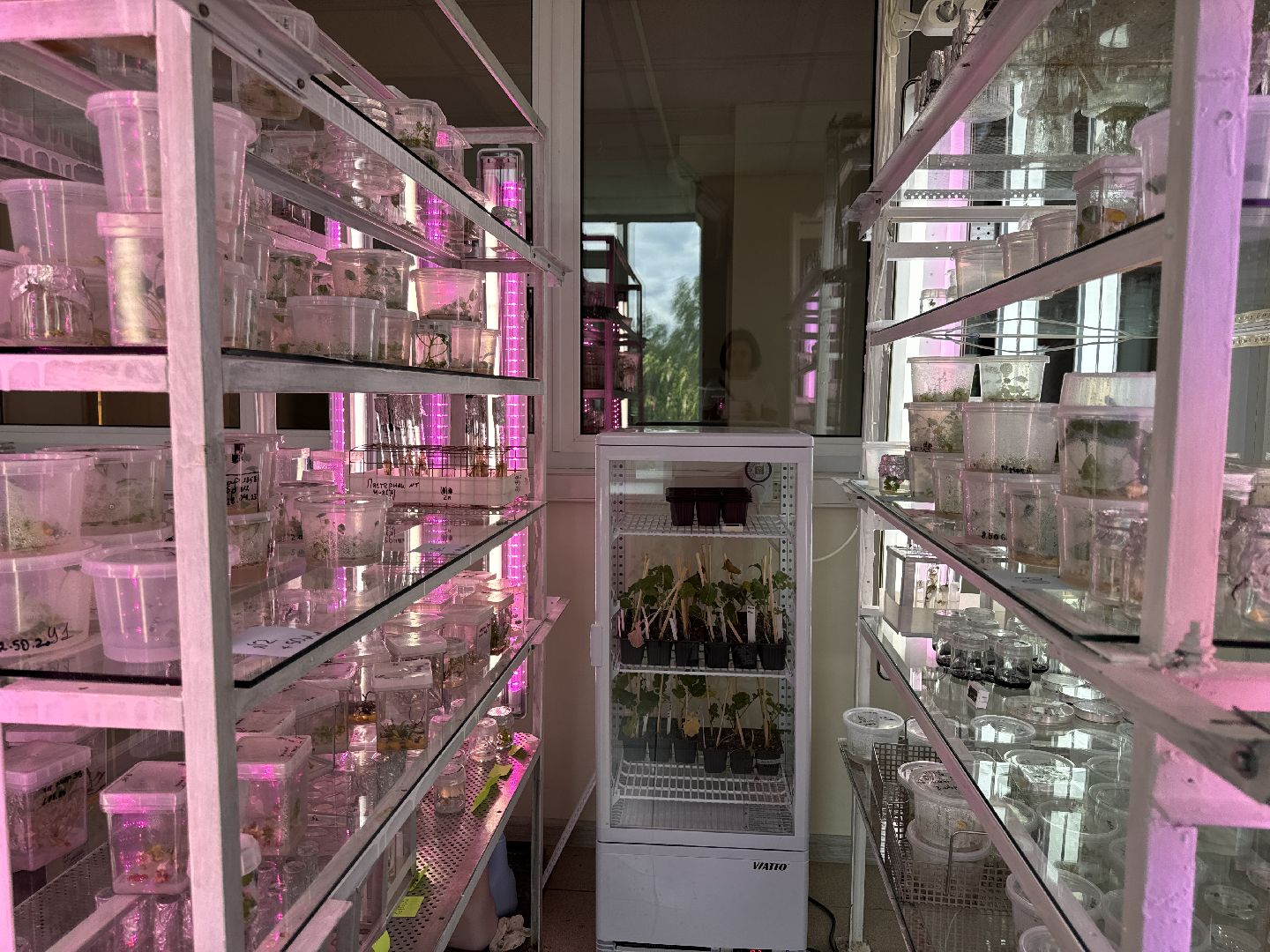 Одинцово, Молодые ученые, ВНИИСОК,