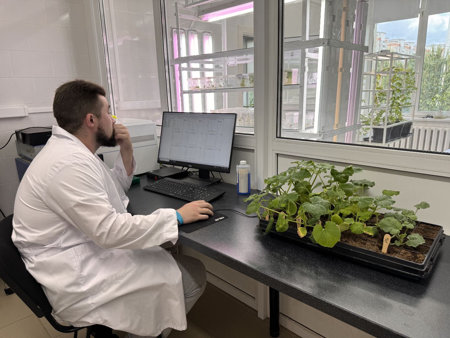 Одинцово, Молодые ученые, ВНИИСОК,