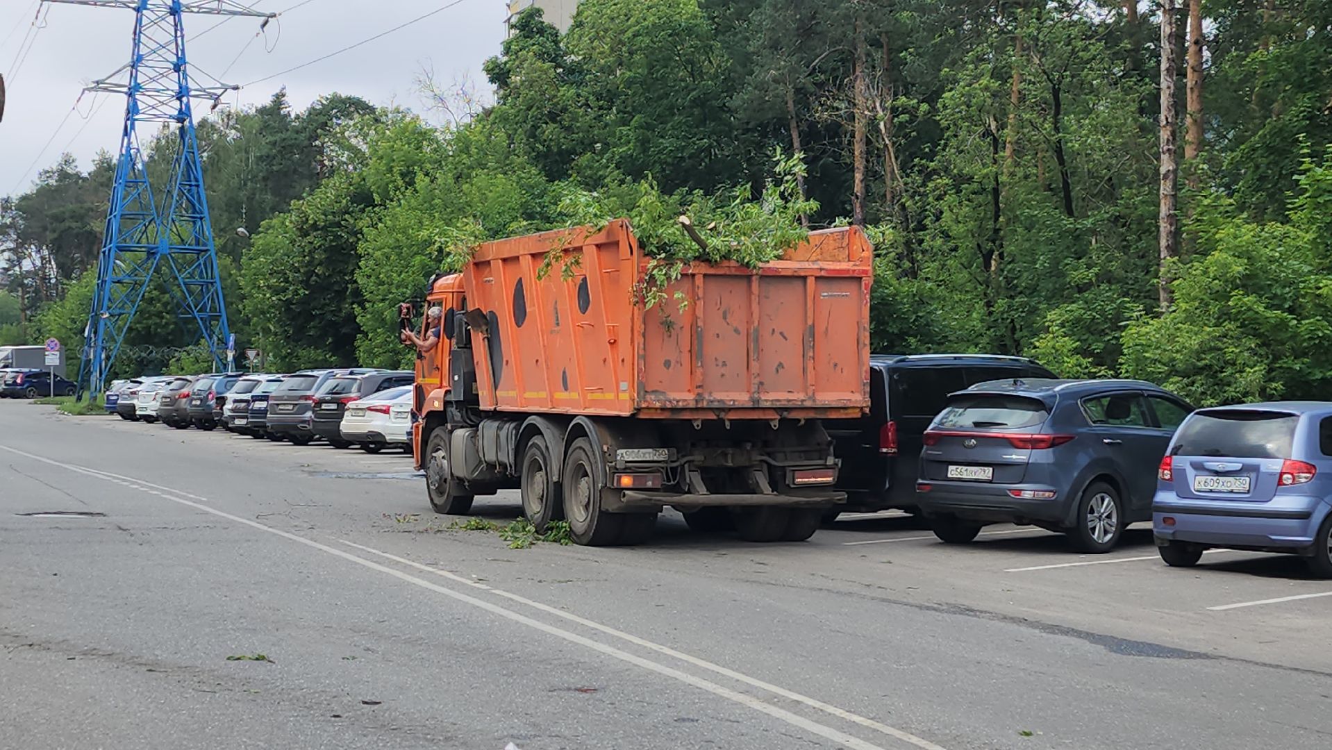 мбу городское хозяйство, сухостой, удаление сухостоя, опиловка, опиловка деревьев, жуковский,
