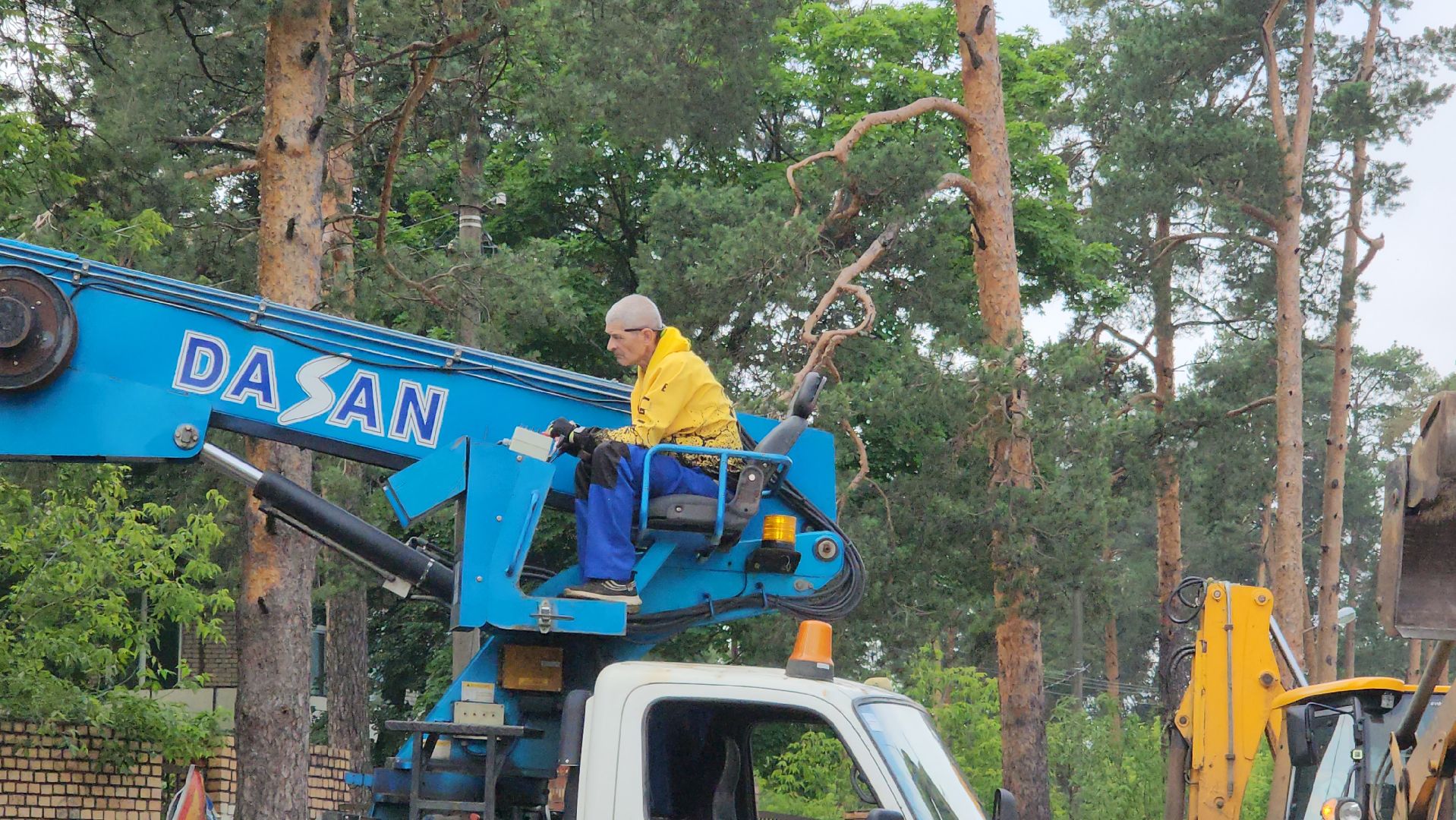 мбу городское хозяйство, сухостой, удаление сухостоя, опиловка, опиловка деревьев, жуковский,