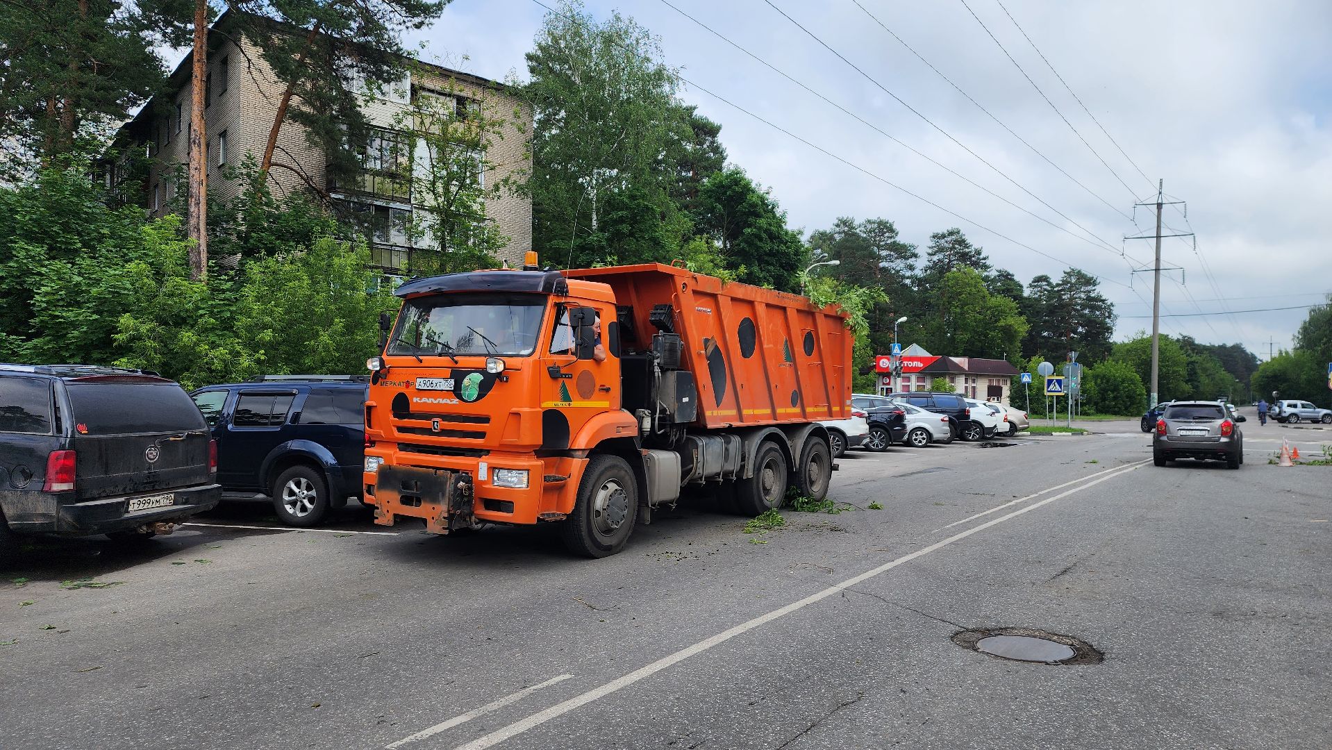 мбу городское хозяйство, сухостой, удаление сухостоя, опиловка, опиловка деревьев, жуковский,