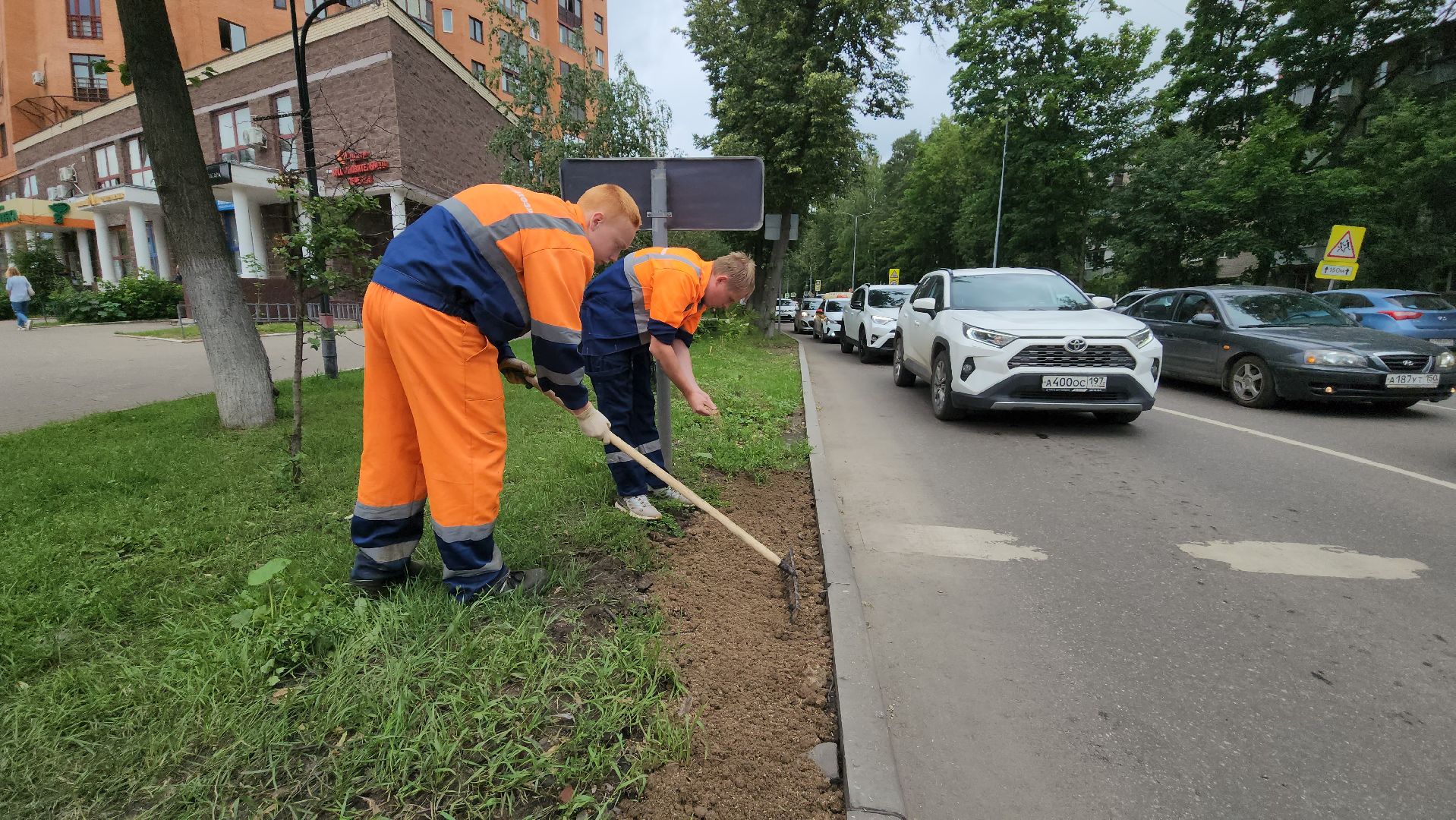 пушкино, благоустройство, газон, трава,