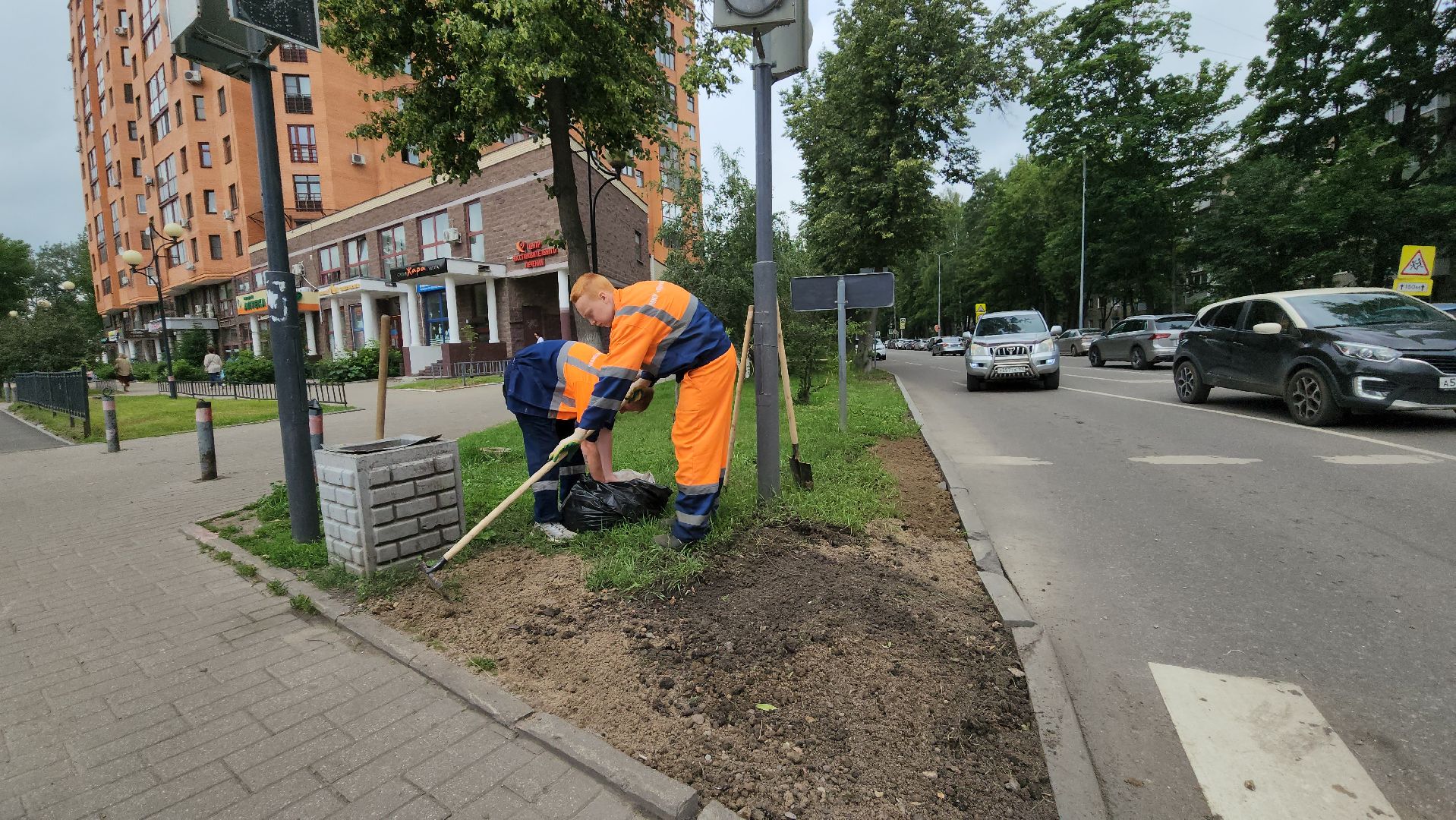 пушкино, благоустройство, газон, трава,