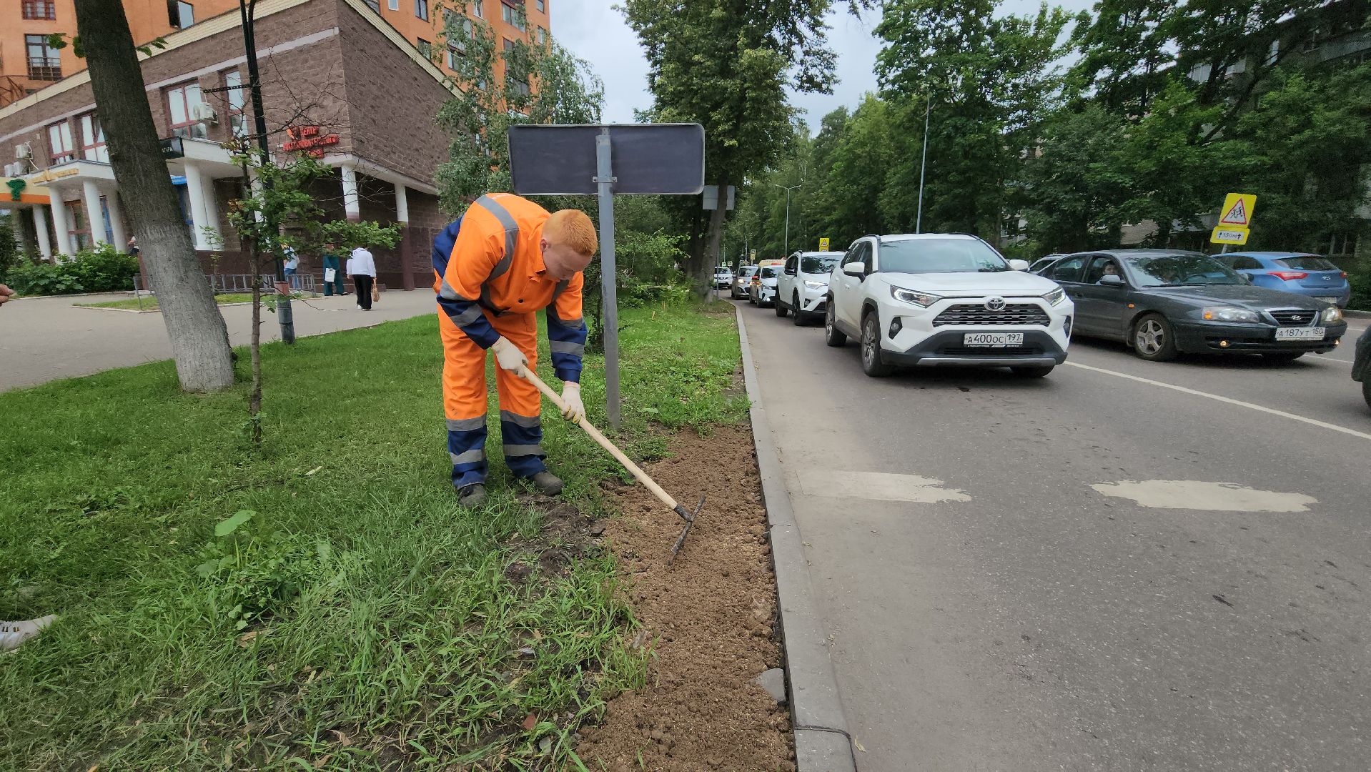 пушкино, благоустройство, газон, трава,