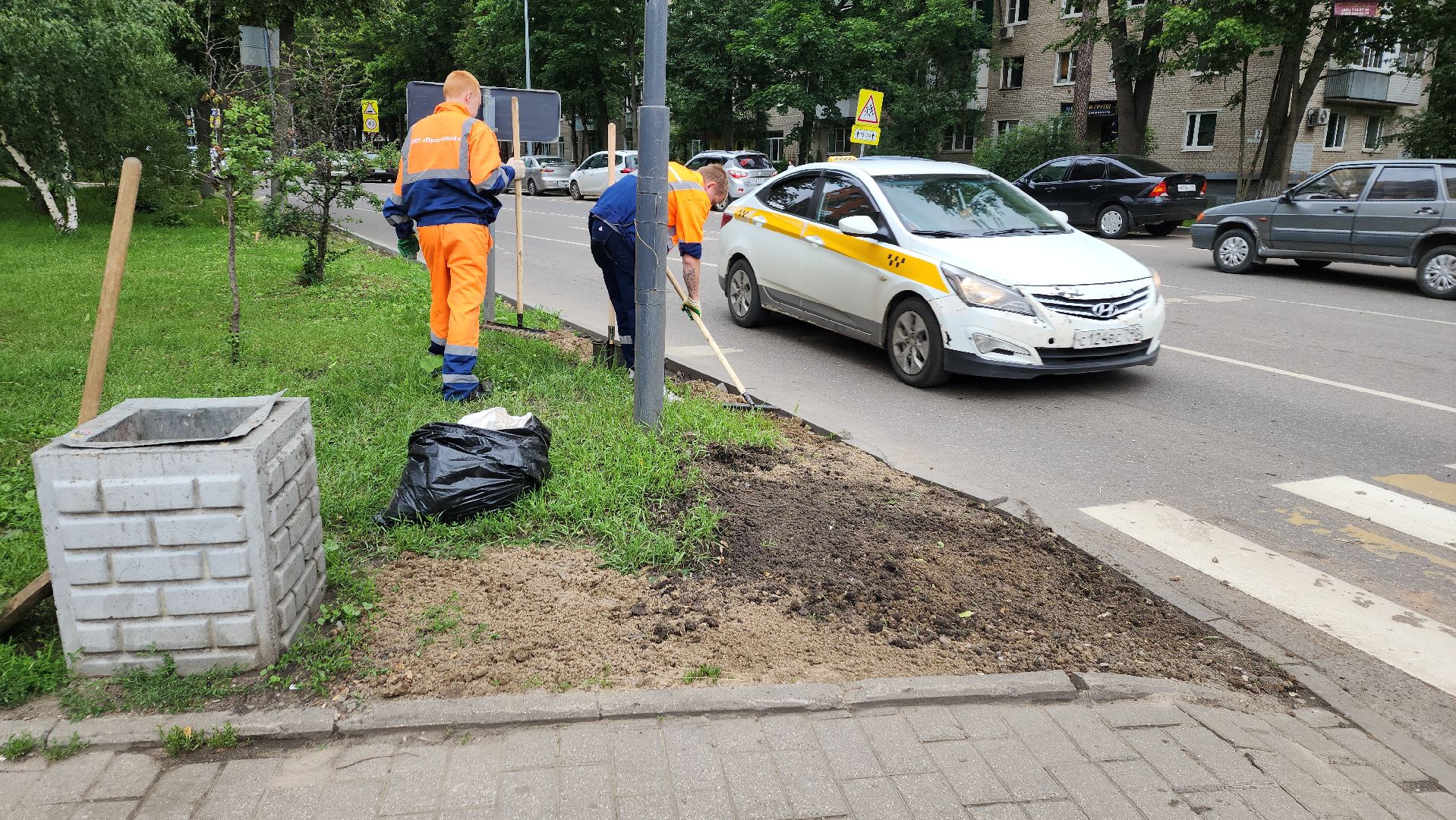 пушкино, благоустройство, газон, трава,
