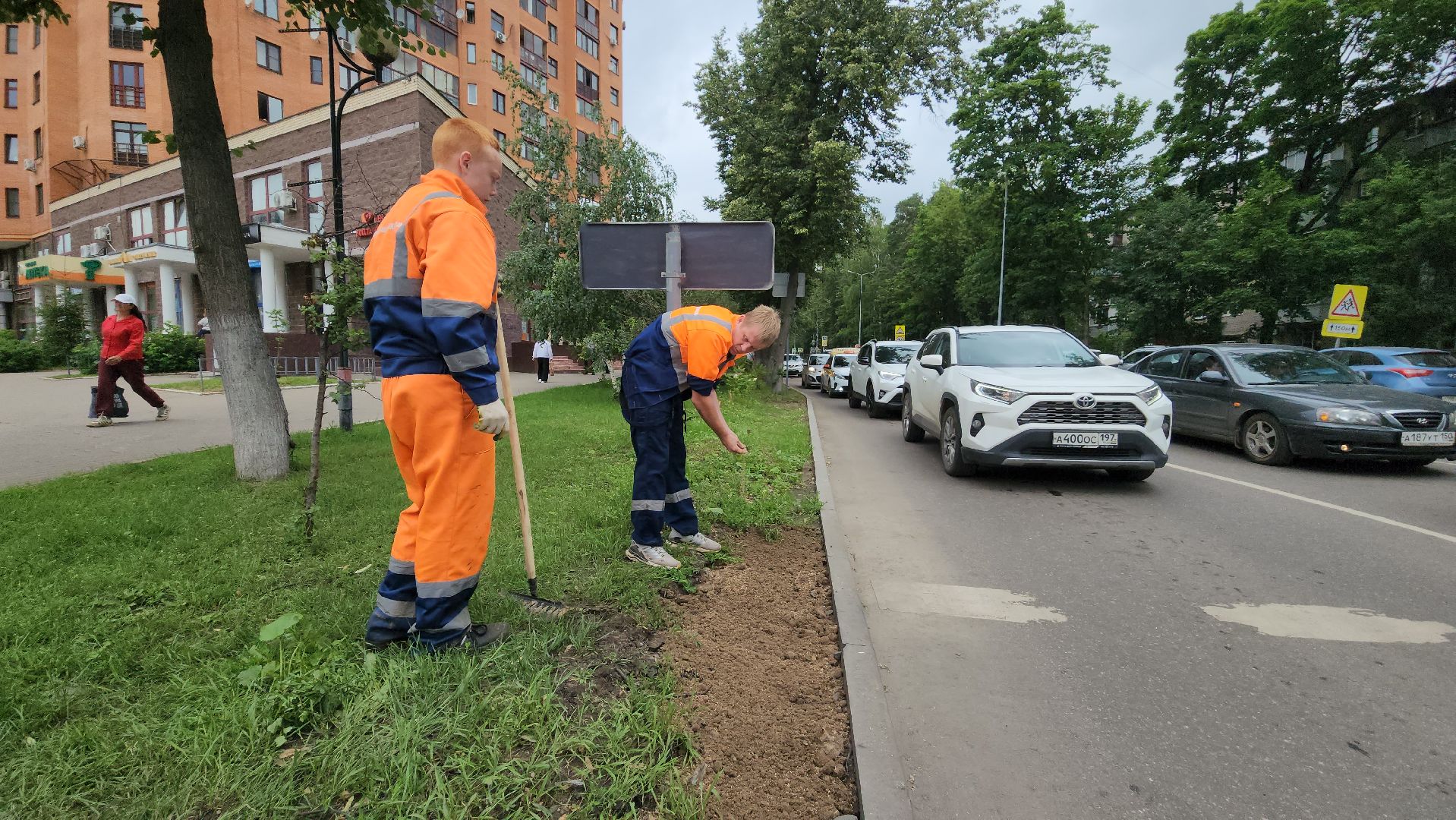 пушкино, благоустройство, газон, трава,