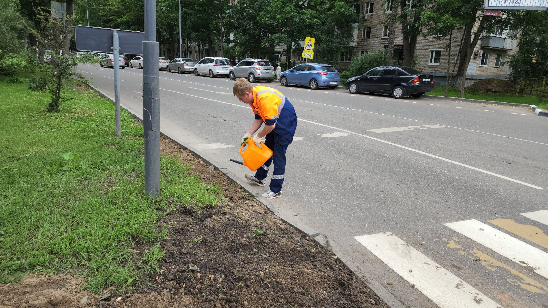 пушкино, благоустройство, газон, трава,