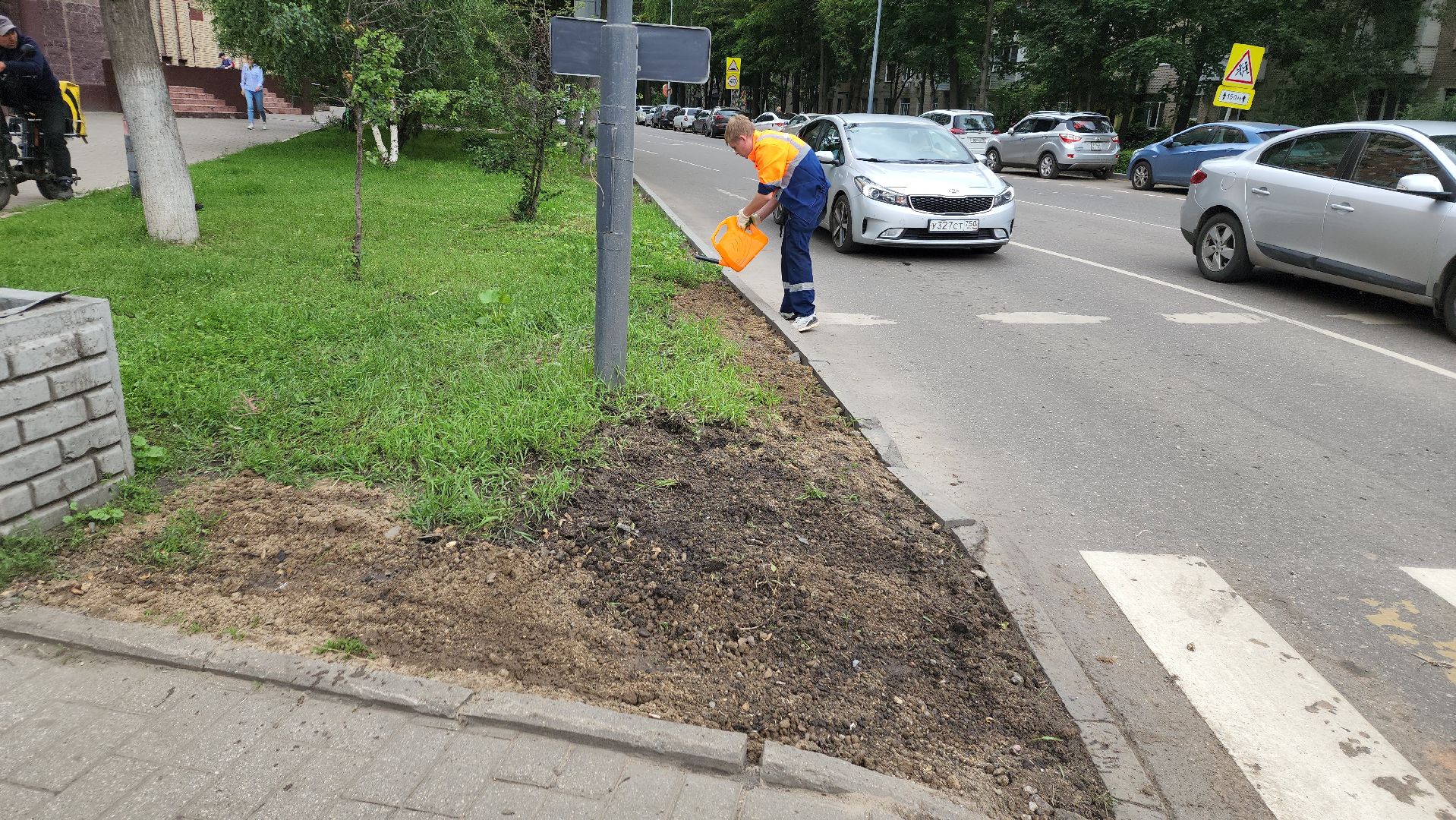 пушкино, благоустройство, газон, трава,