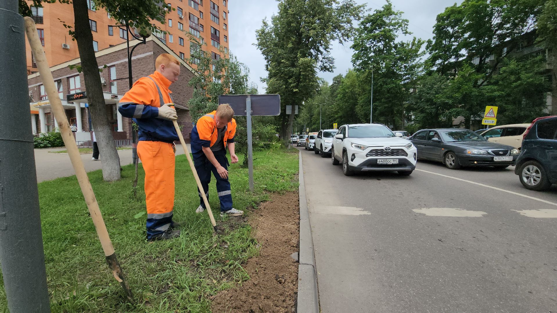 пушкино, благоустройство, газон, трава,