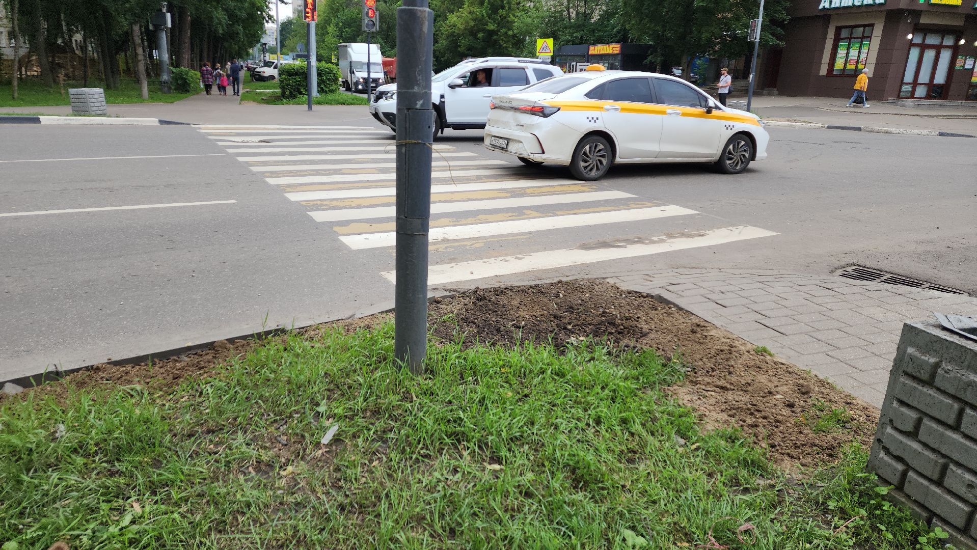 пушкино, благоустройство, газон, трава,