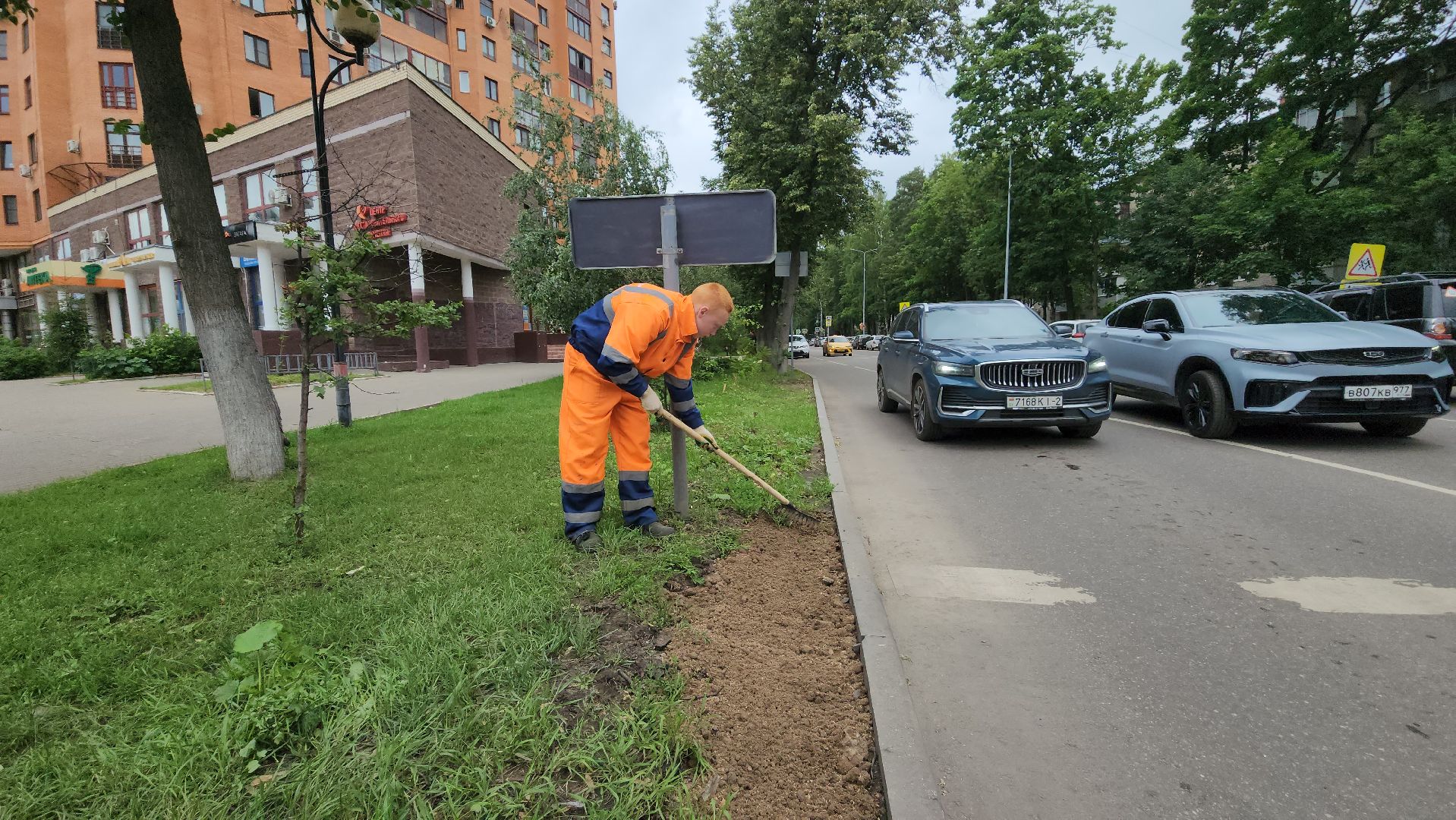 пушкино, благоустройство, газон, трава,