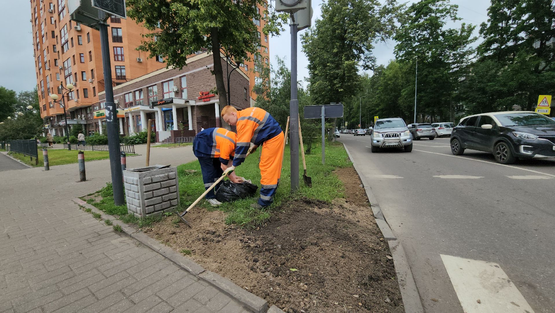 пушкино, благоустройство, газон, трава,