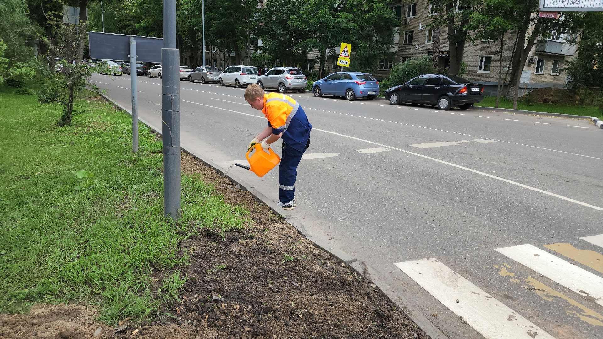 пушкино, благоустройство, газон, трава,