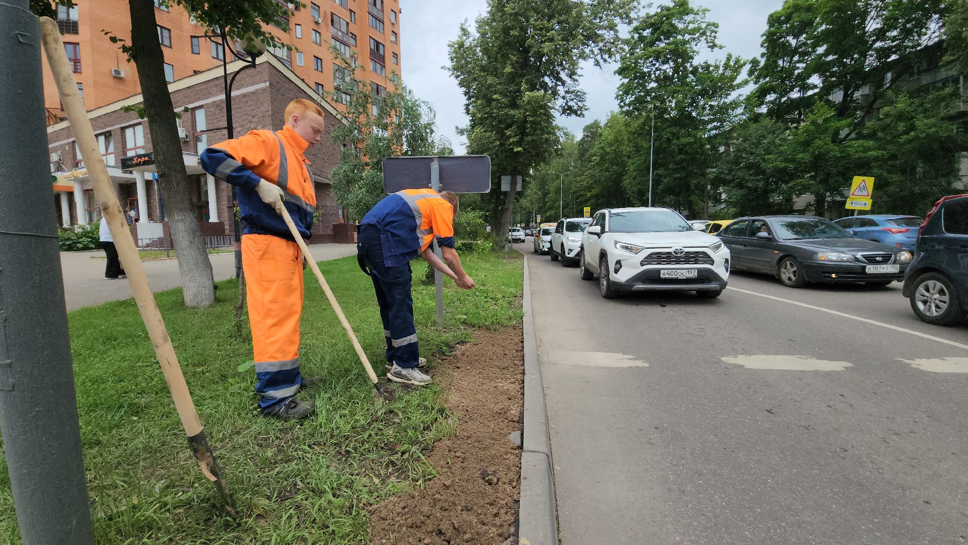 пушкино, благоустройство, газон, трава,