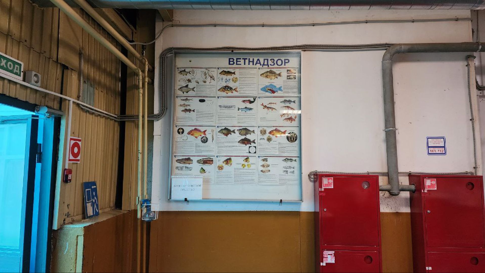 Солнечногорск, рынок, торговля, пенсионеры,