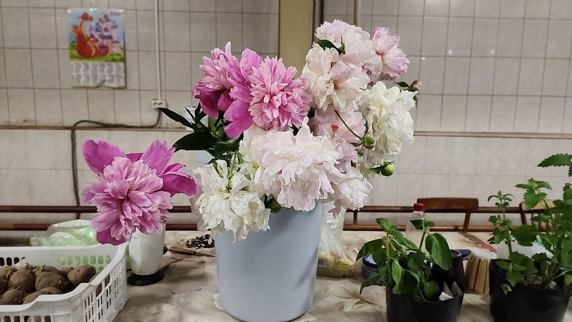 Солнечногорск, рынок, торговля, пенсионеры,