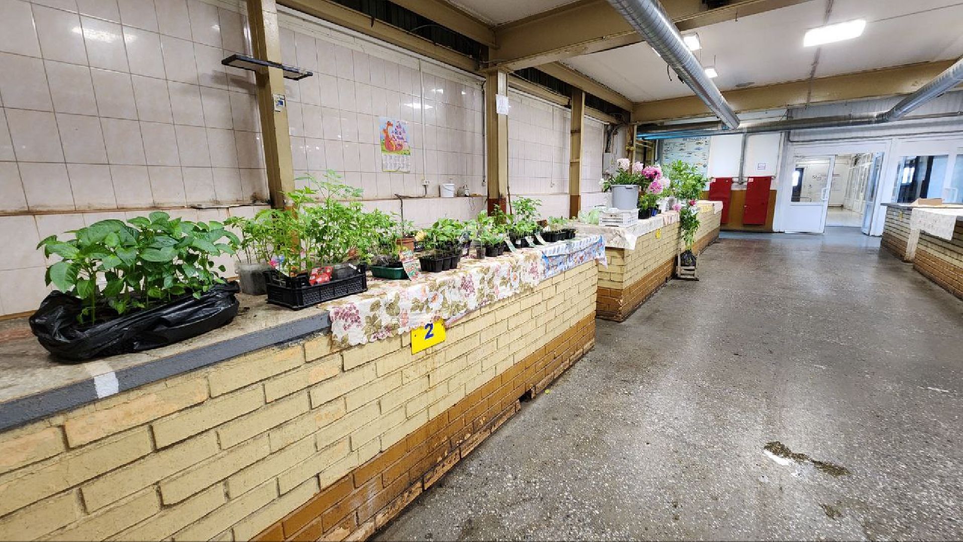 Солнечногорск, рынок, торговля, пенсионеры,