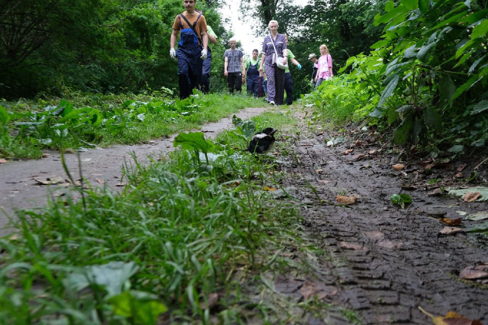 пущино, серпухов, экология,