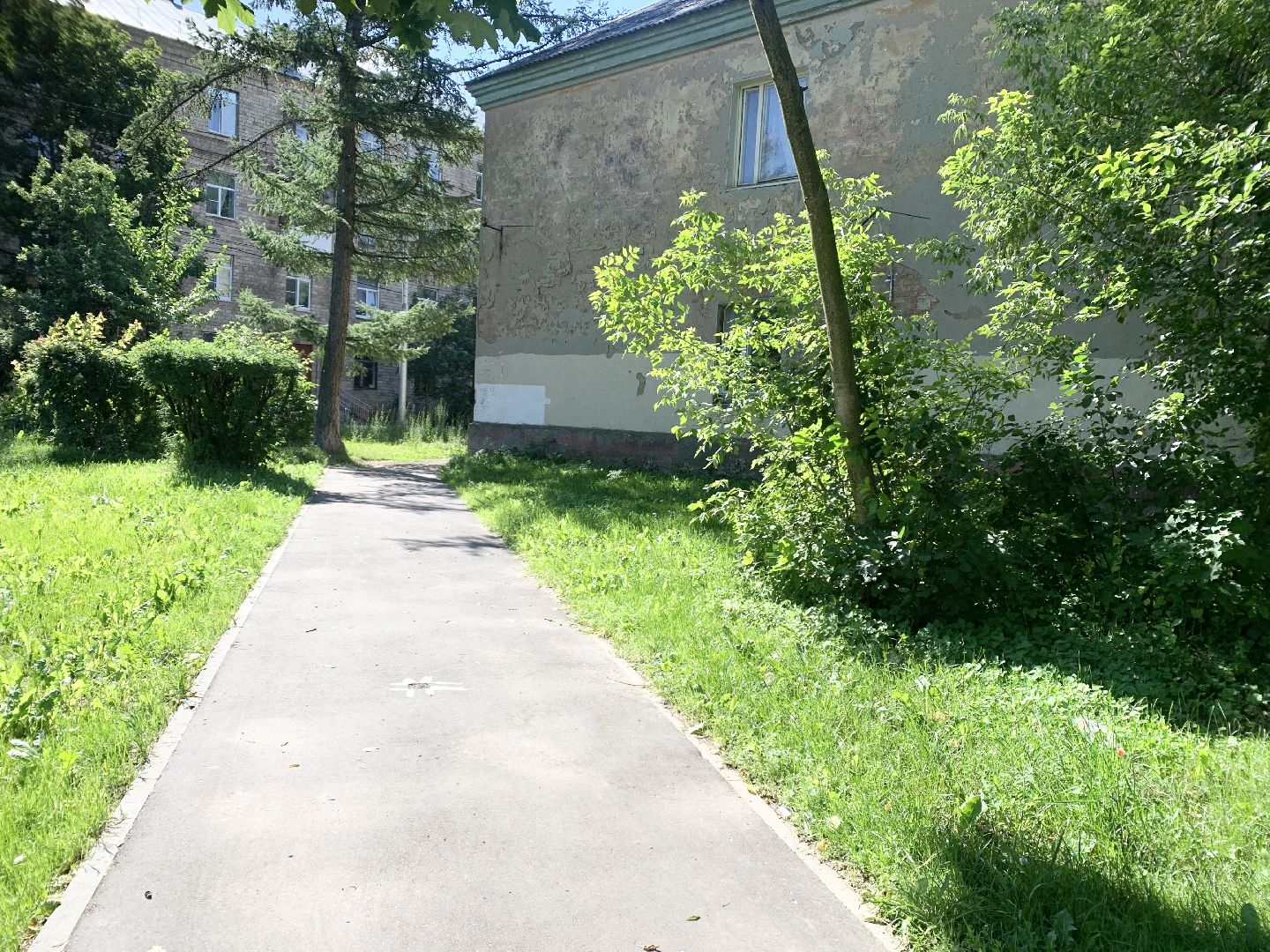 Балашиха, Подмосковье, Дороги, Народные тропы, пешеходные коммуникации,