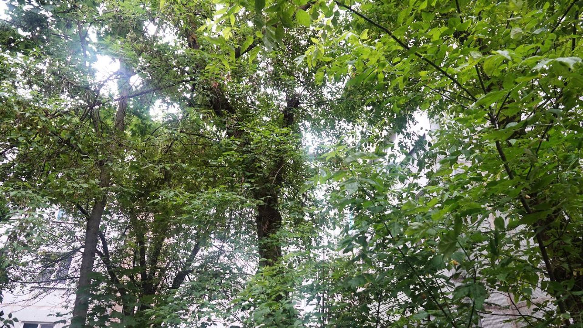 Сергиев Посад, Выездная администрация, Диалог с жителями, Благоустройство, Комплексное благоустройство дворов, КБДТ, Доверие к власти,