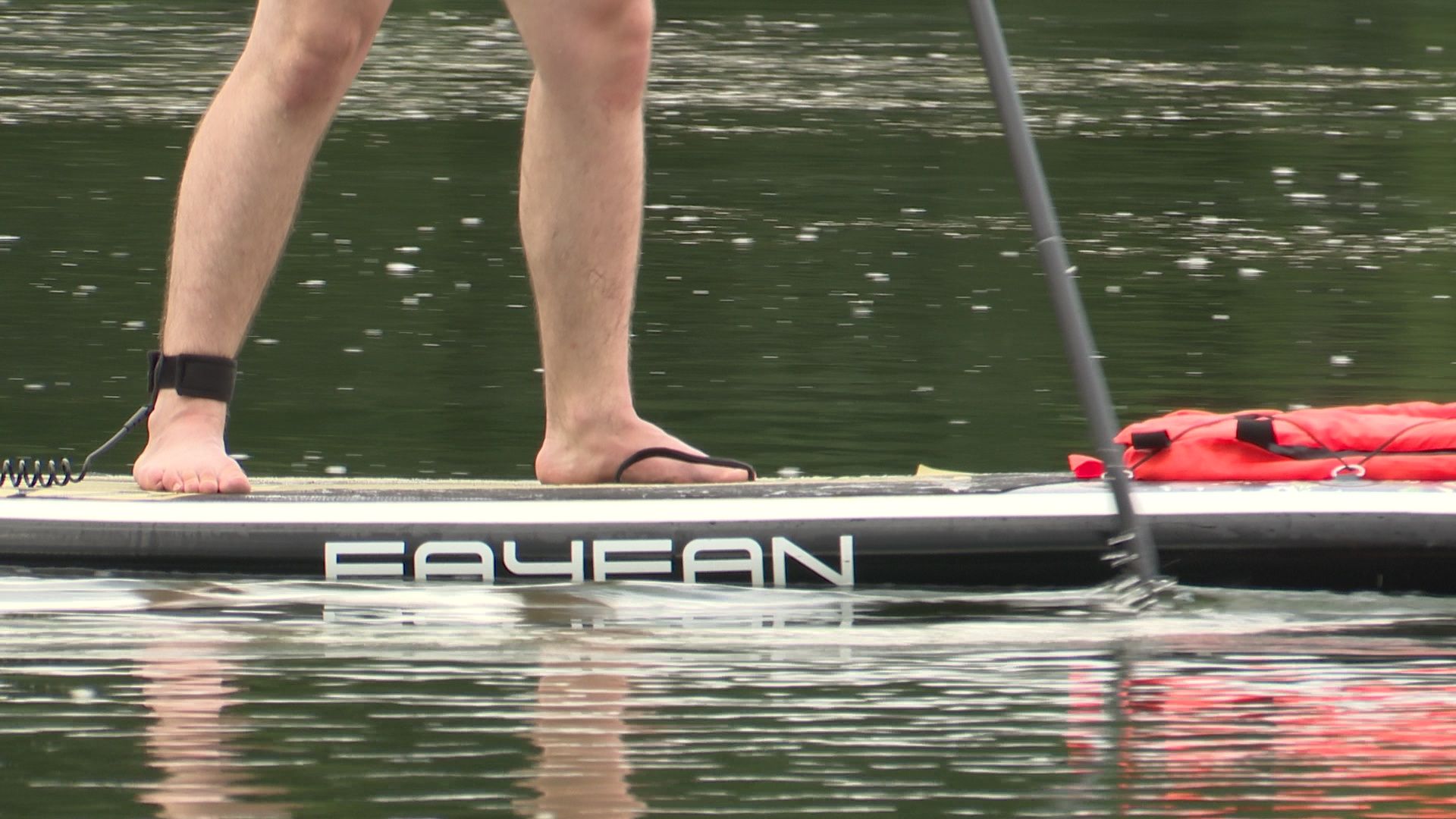 Реутов, парк, прокат лодок, катамараны, сапы,вода,