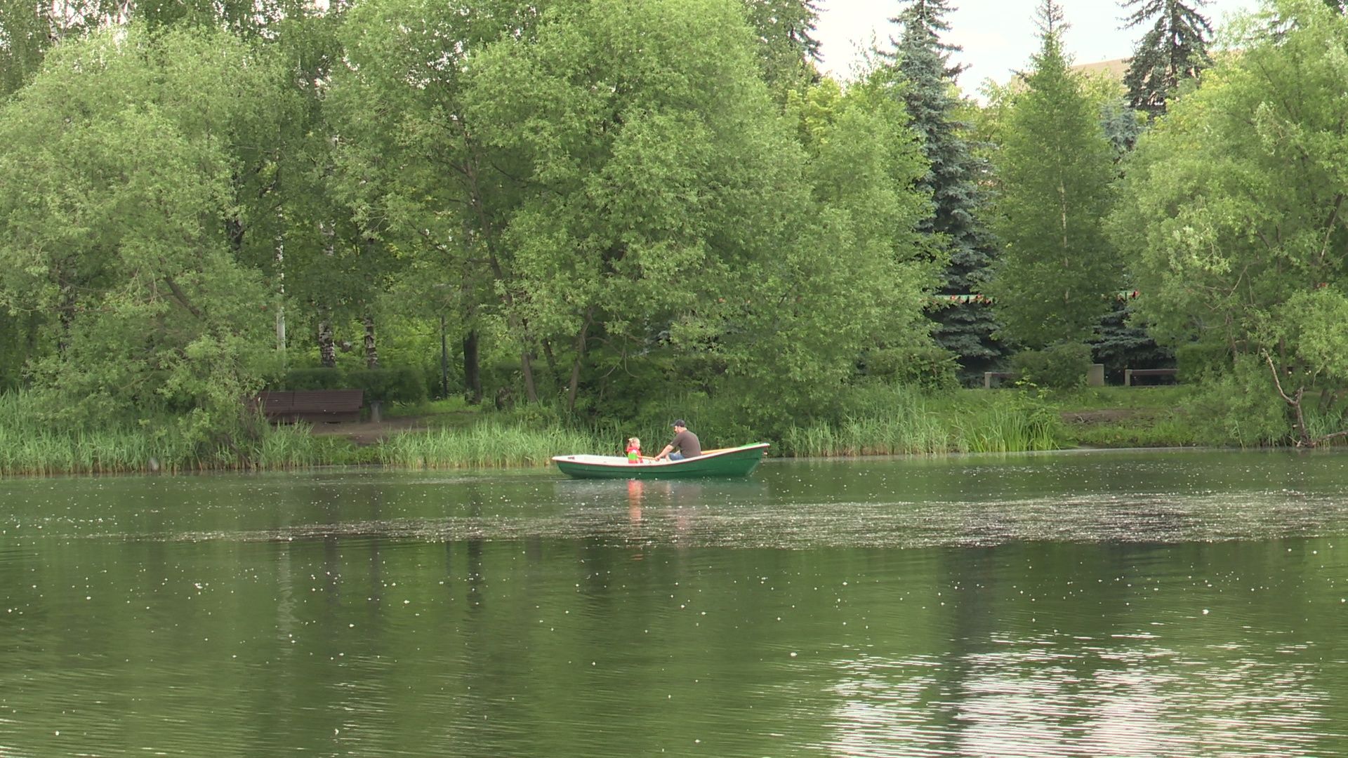 Реутов, парк, прокат лодок, катамараны, сапы,вода,