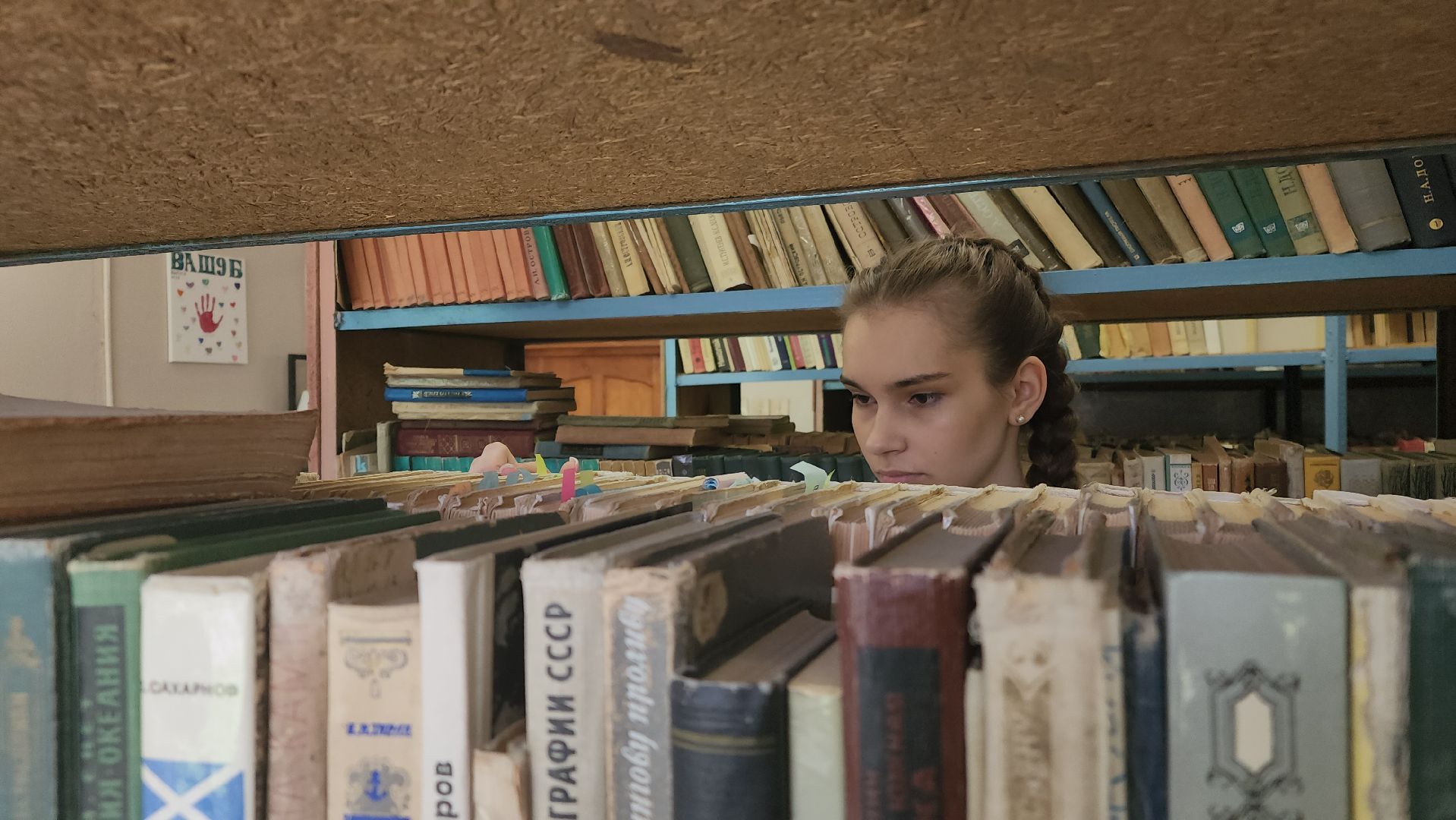 ступино, стобальник, егэ, образование подмосковья,