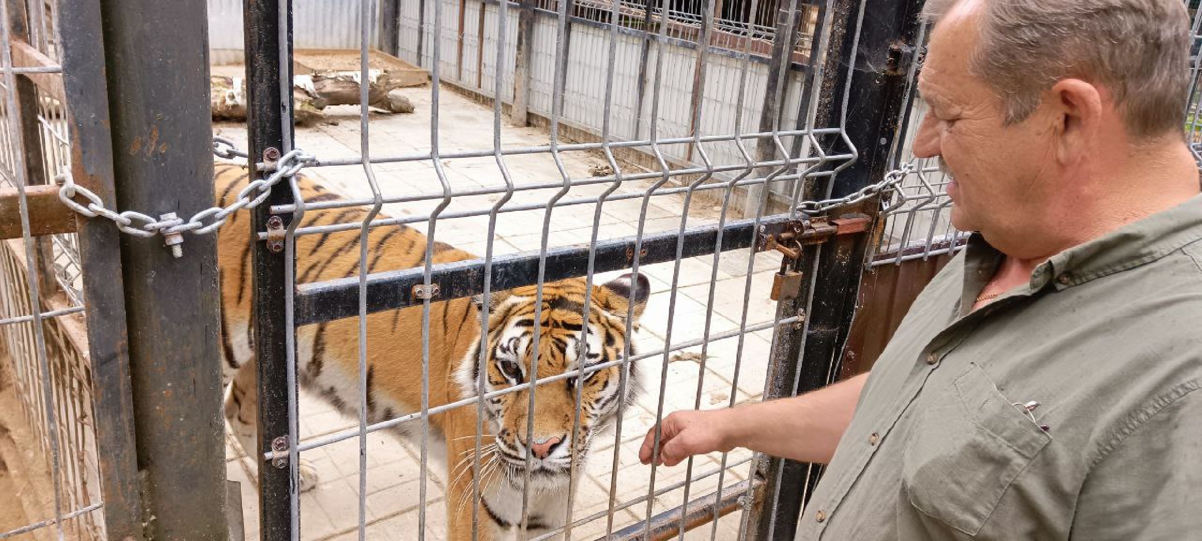 Дмитров, Центр реабилитации животных,