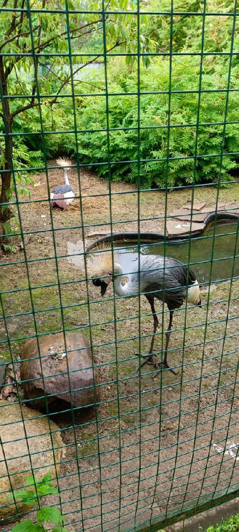 Дмитров, Центр реабилитации животных,