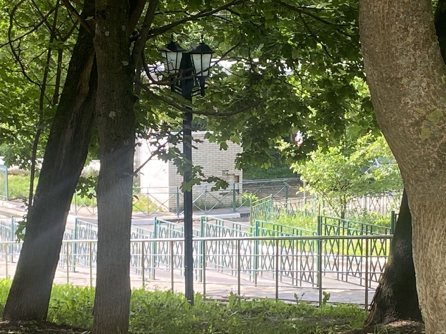 цветной бульвар власиха, обход территории власиха, глава Власихи, встречи с жителями Власиха, модернизация детской площадки,