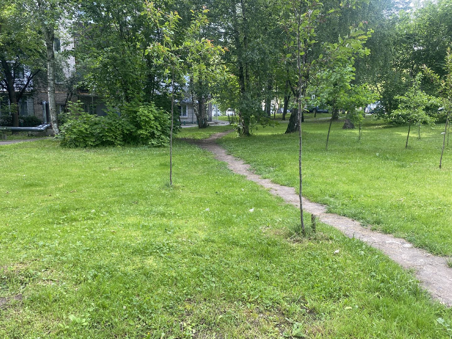 цветной бульвар власиха, обход территории власиха, глава Власихи, встречи с жителями Власиха, модернизация детской площадки,