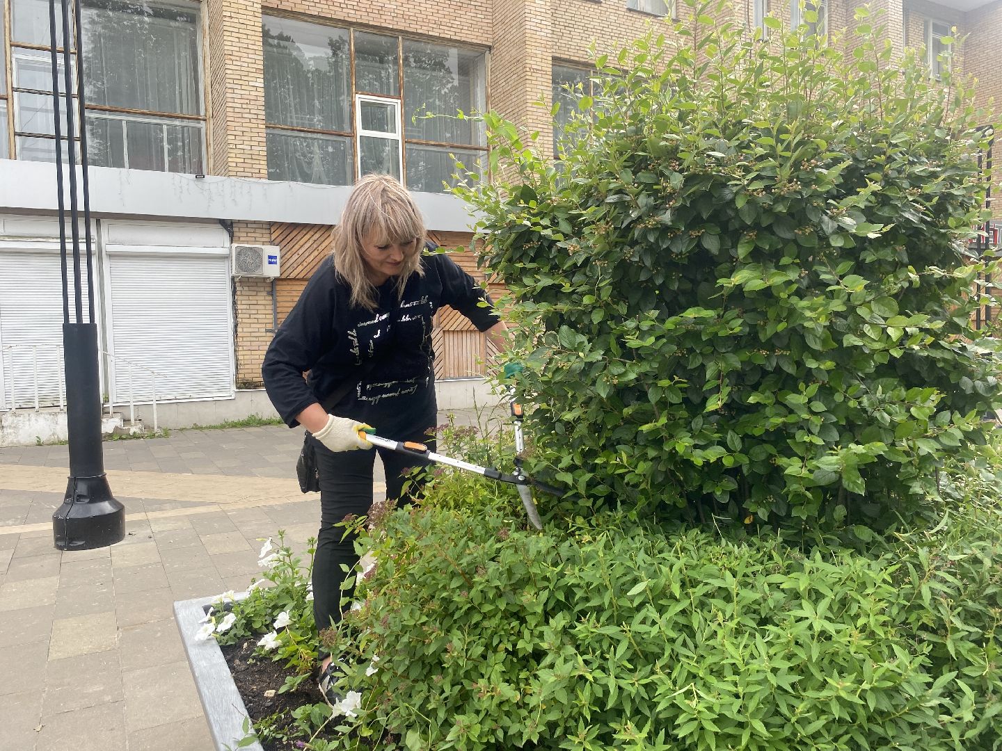 цветной бульвар власиха, обход территории власиха, глава Власихи, встречи с жителями Власиха, модернизация детской площадки,