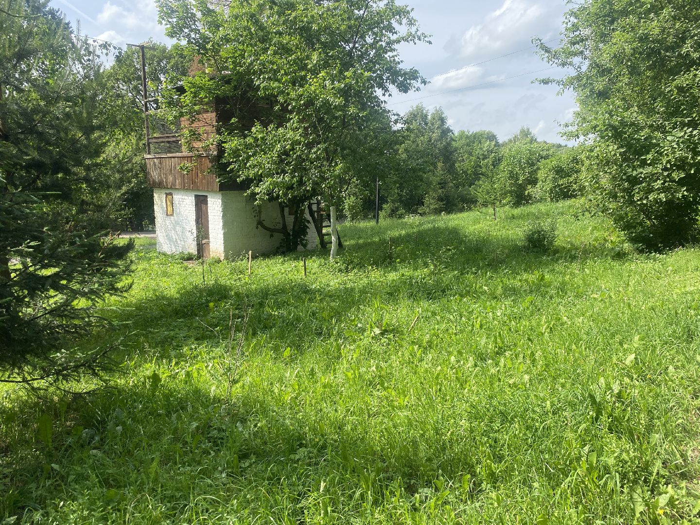 цветной бульвар власиха, обход территории власиха, глава Власихи, встречи с жителями Власиха, модернизация детской площадки,