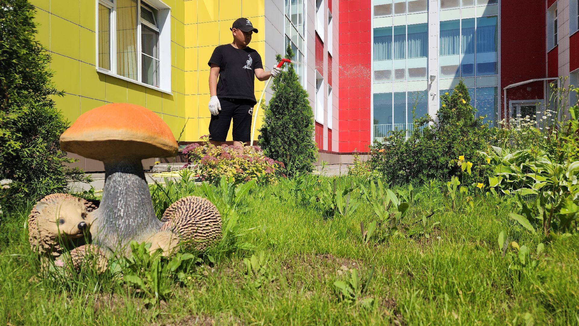 летнее трудоустройство, школьники, Лосино-Петровский,