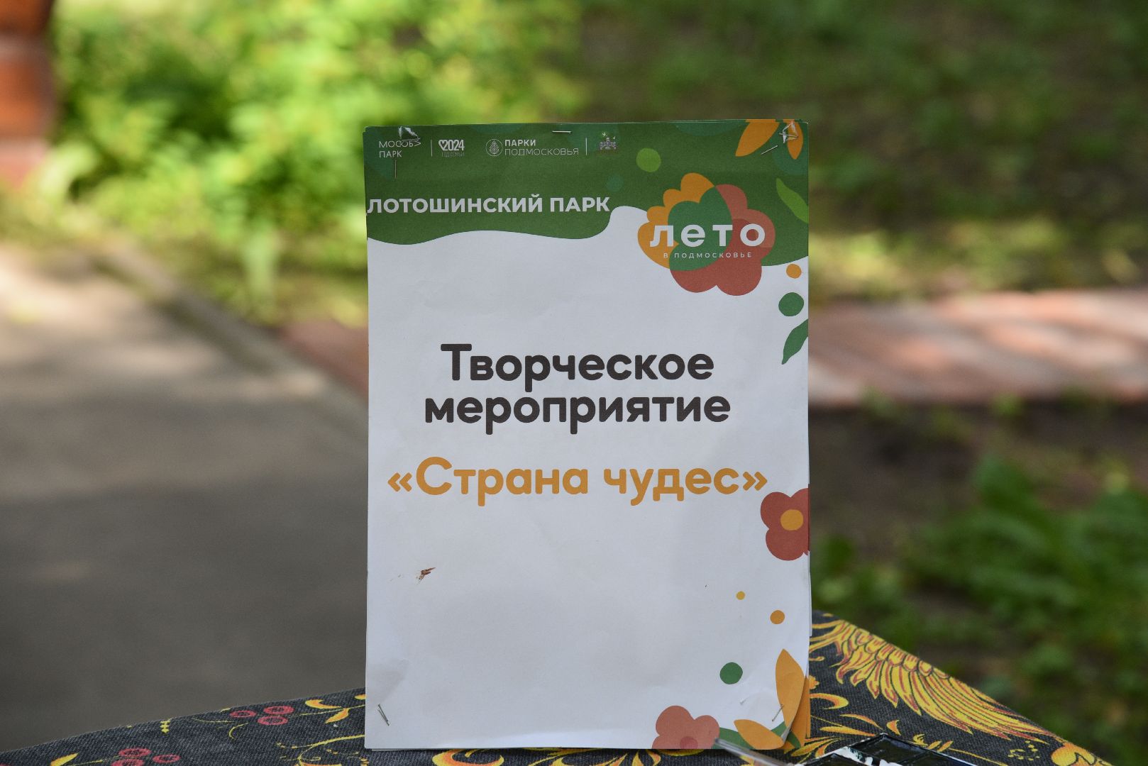 лотошино, лотошинский парк, дети, детский лагерь, парки подмосковья,